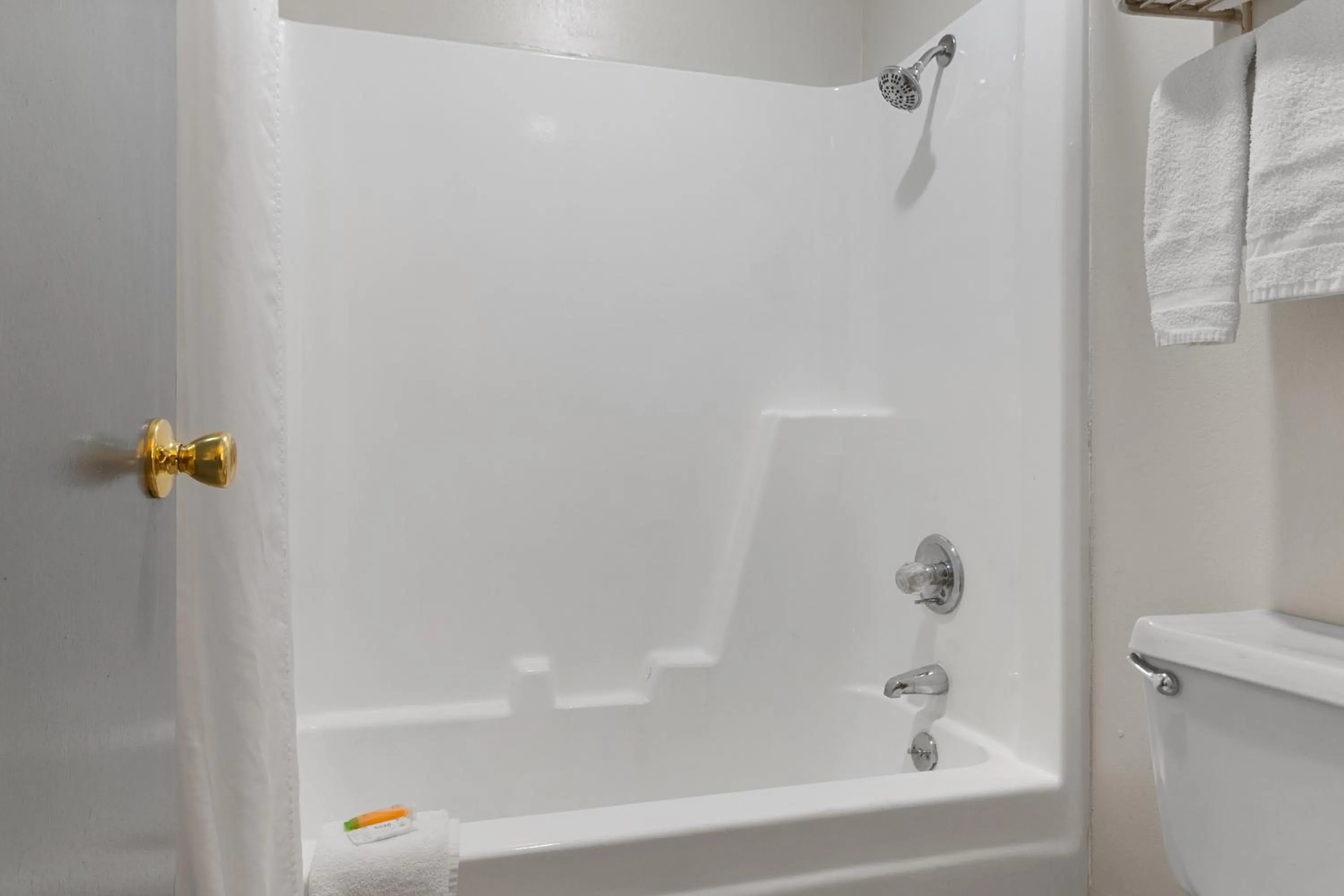 Shower in Richland Inn of Columbia