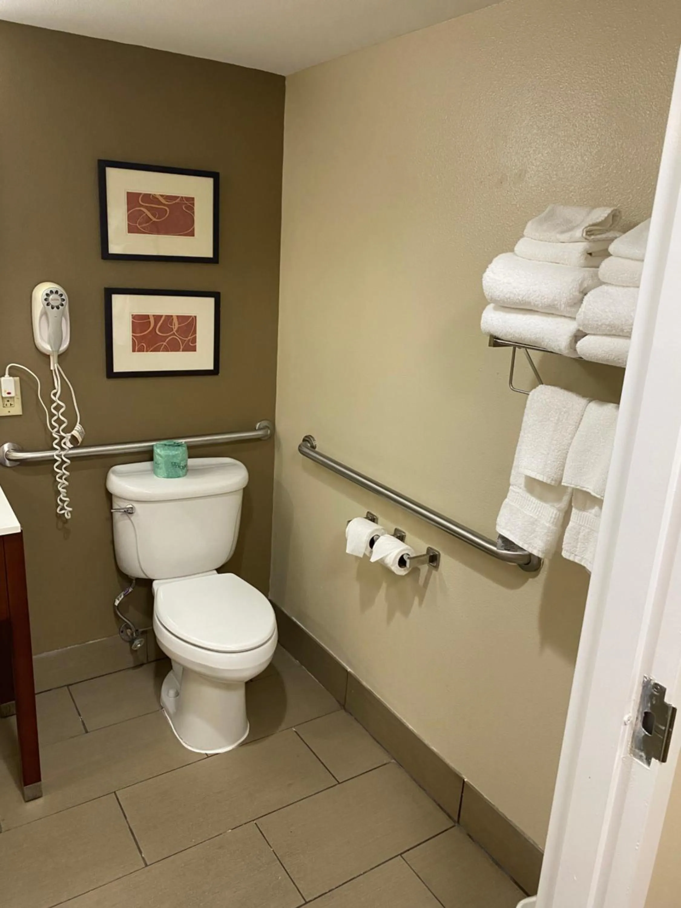 Shower in Comfort Inn & Suites Cordele