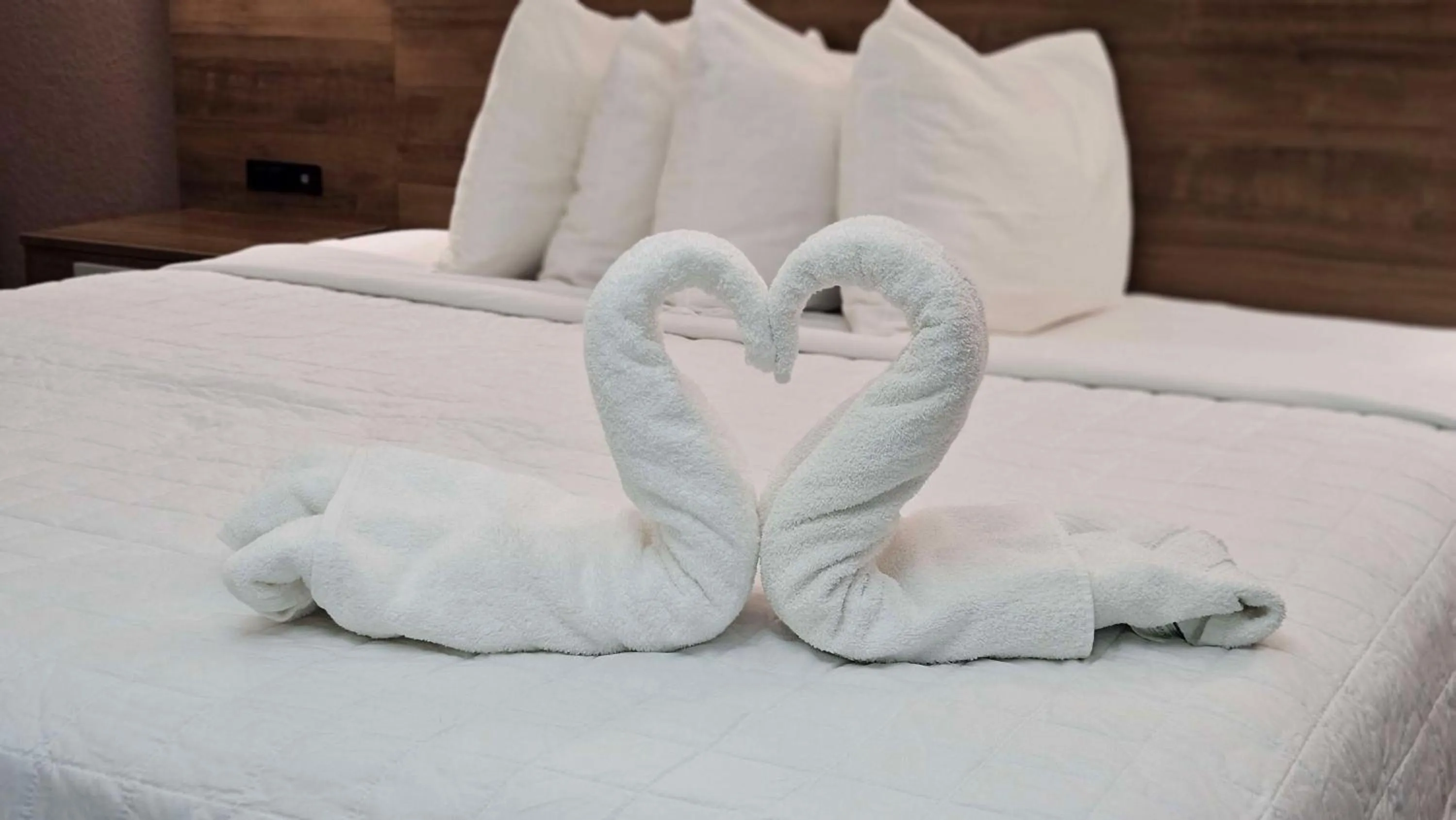 Bedroom, Bed in Best Western Hopkinsville KY - BRAND NEW ROOMS