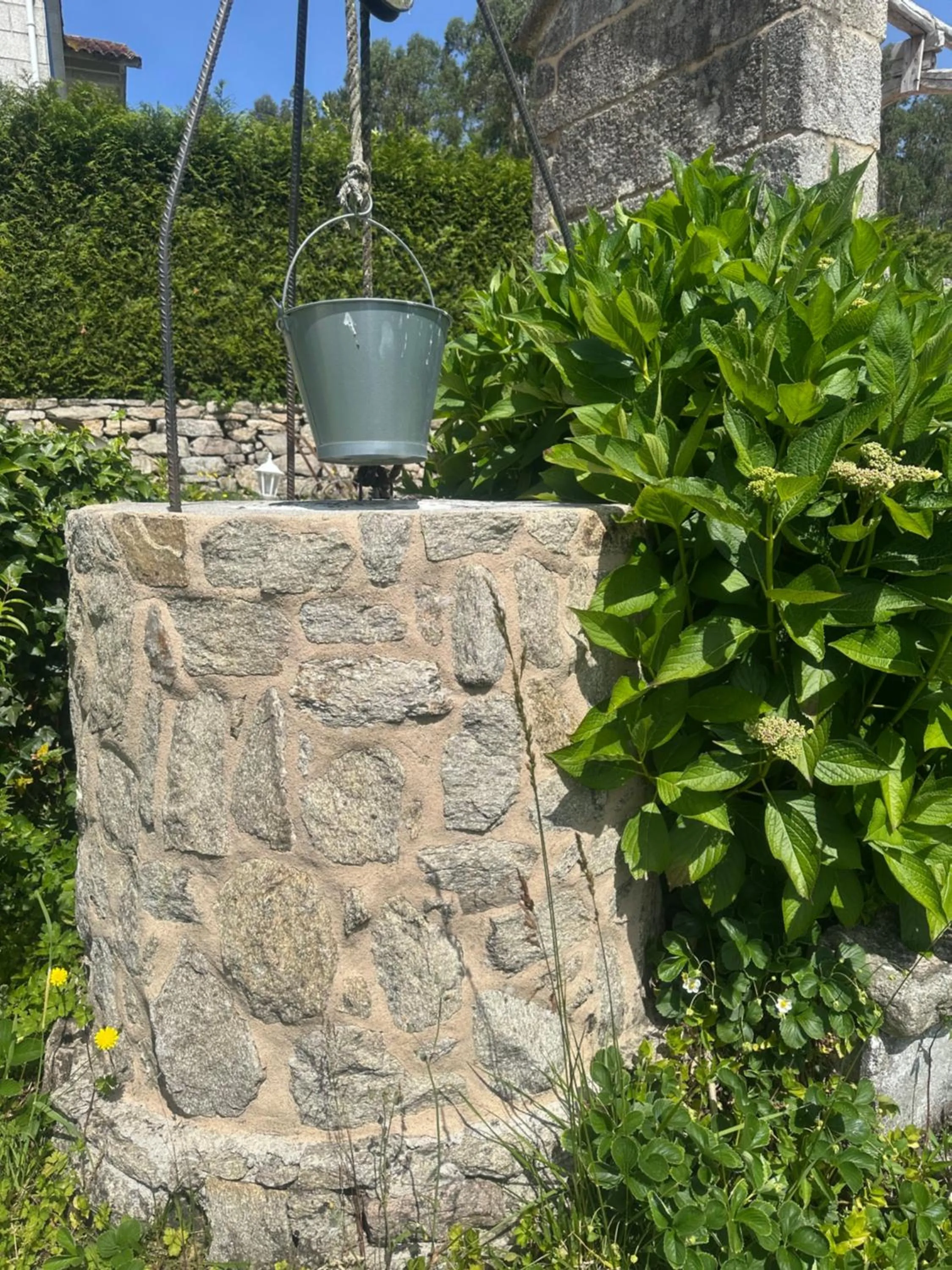 CARBALLO DE PRADO 1900