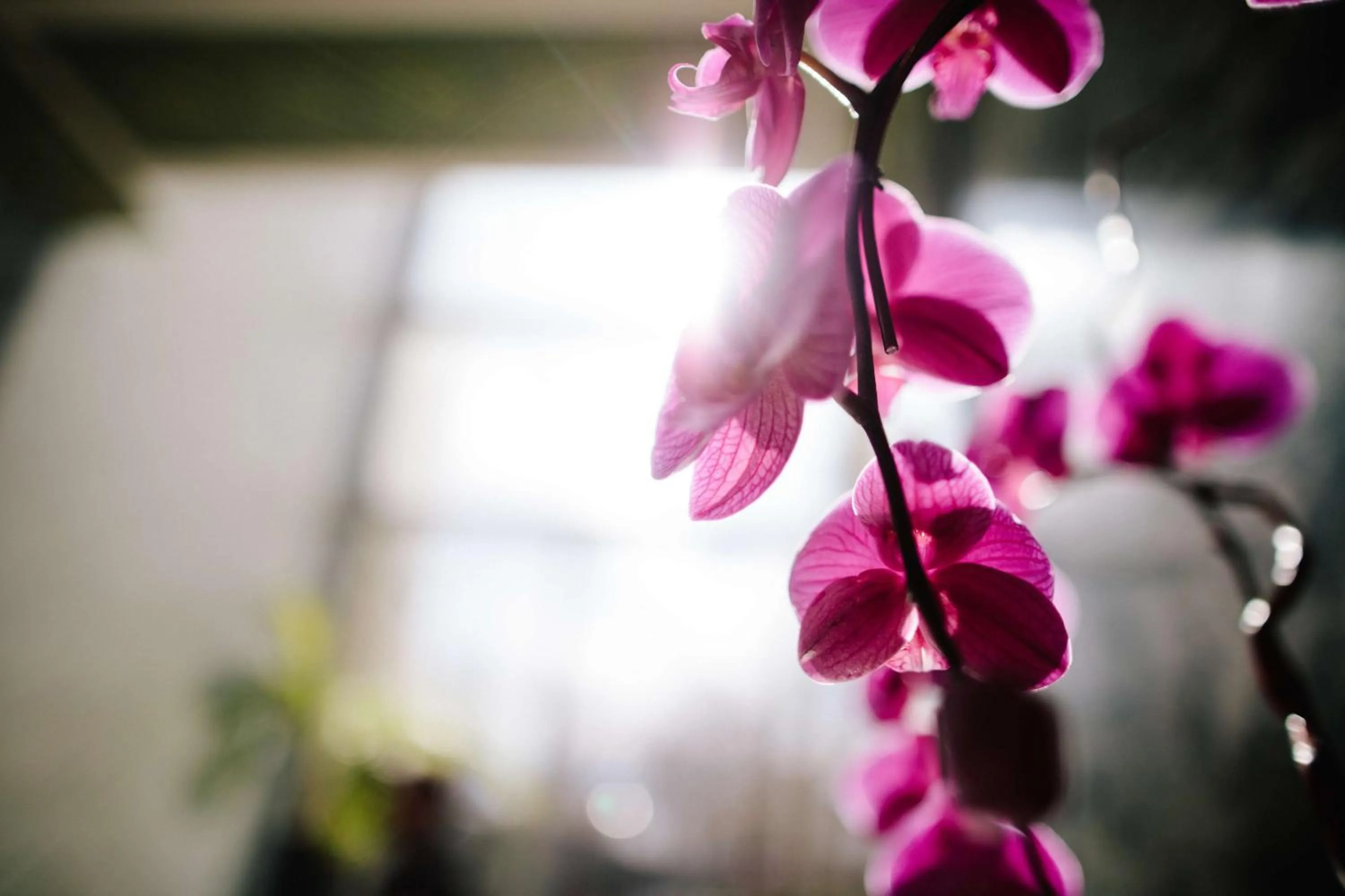 Property building in Colcord Hotel Oklahoma City, Curio Collection by Hilton