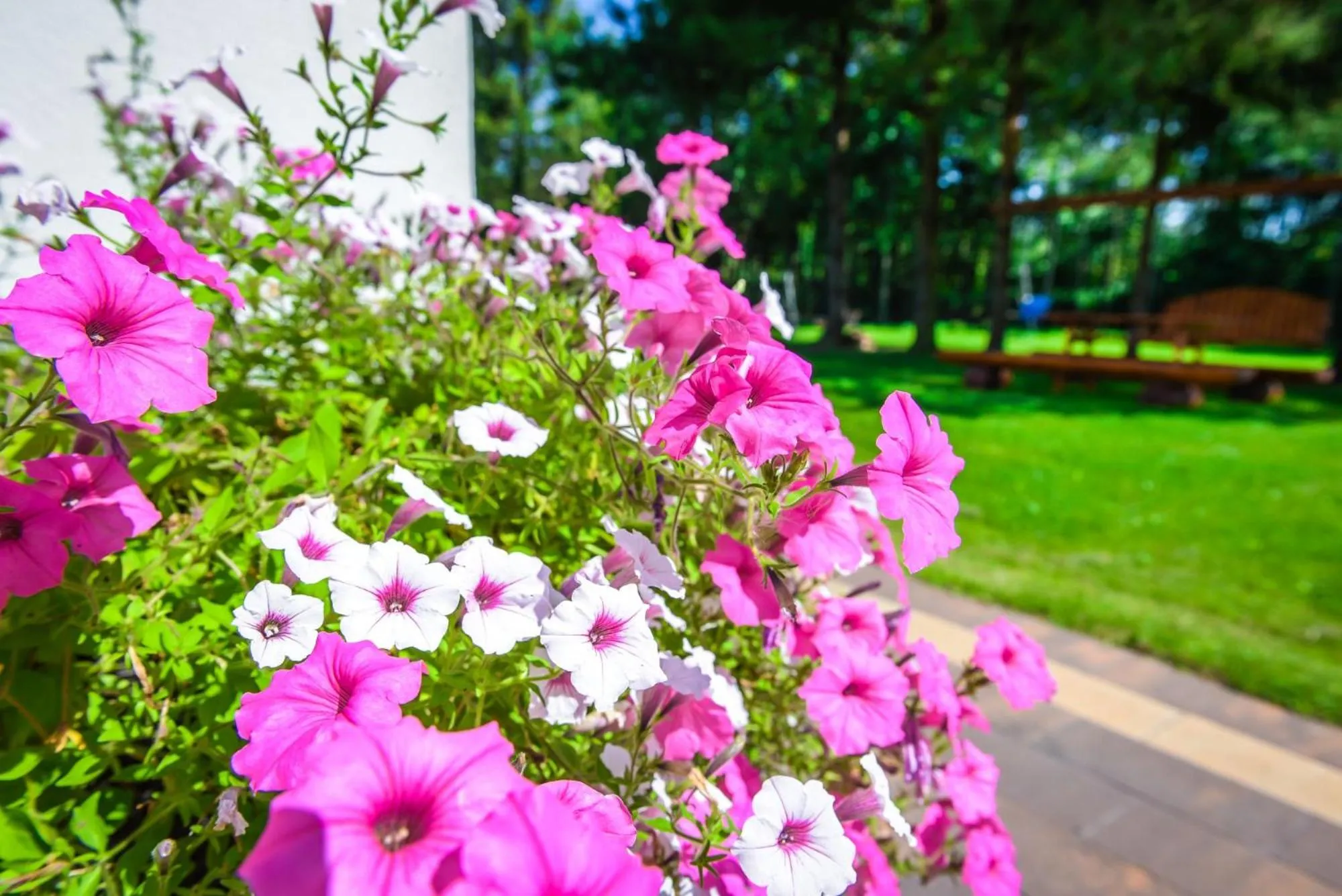 Garden in Willa Boconek - Zator Przeciszów