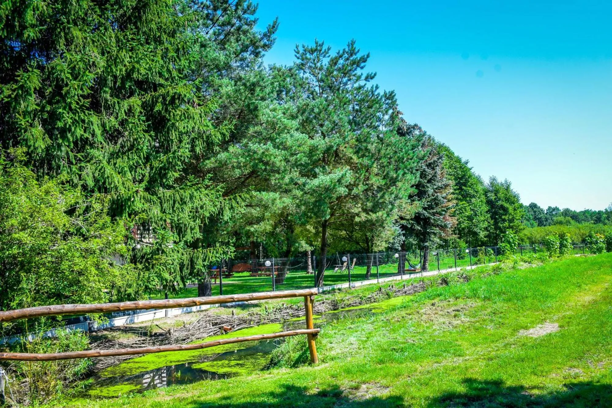 Garden view in Willa Boconek - Zator Przeciszów