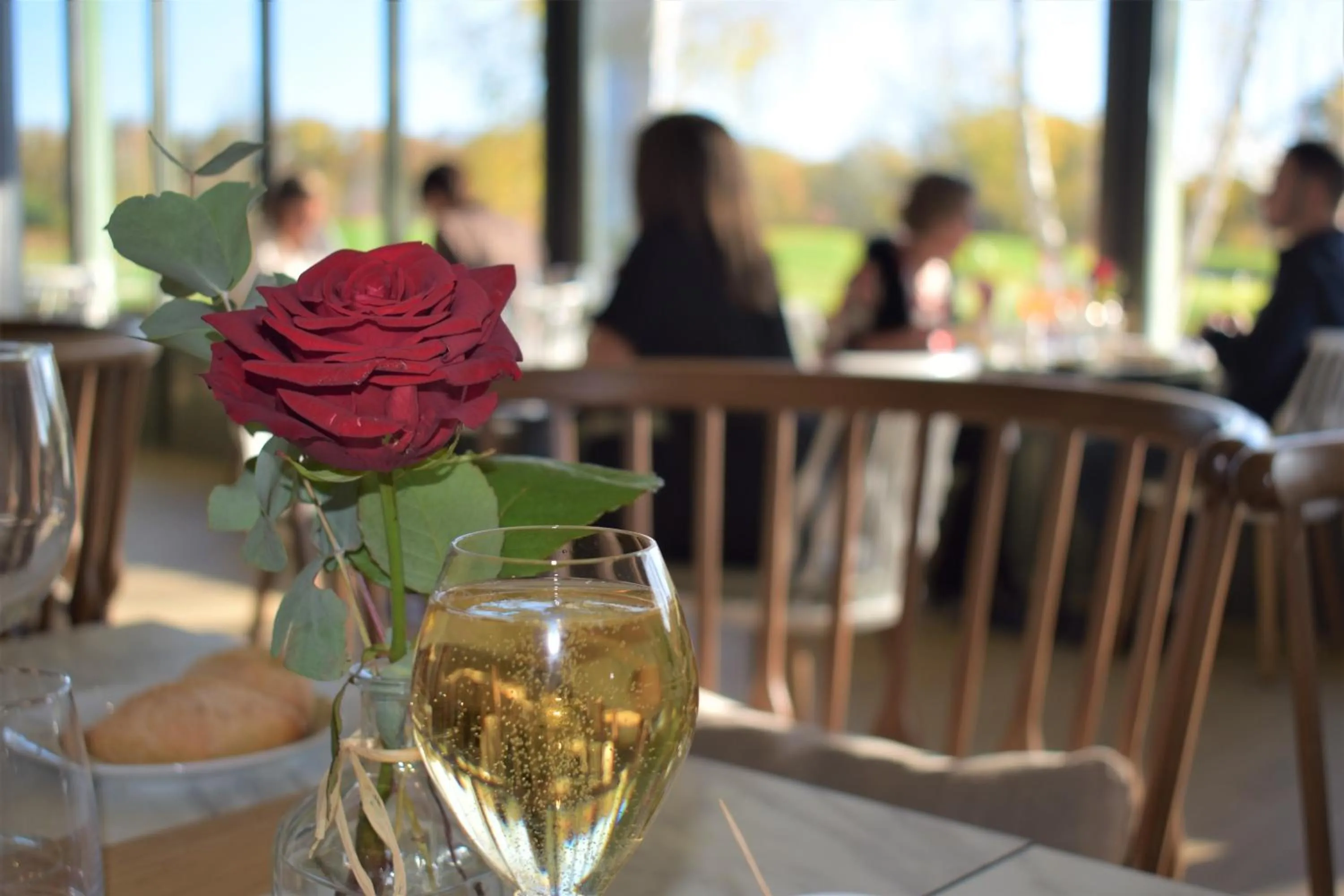 Restaurant/places to eat in Mercure Orléans Portes de Sologne