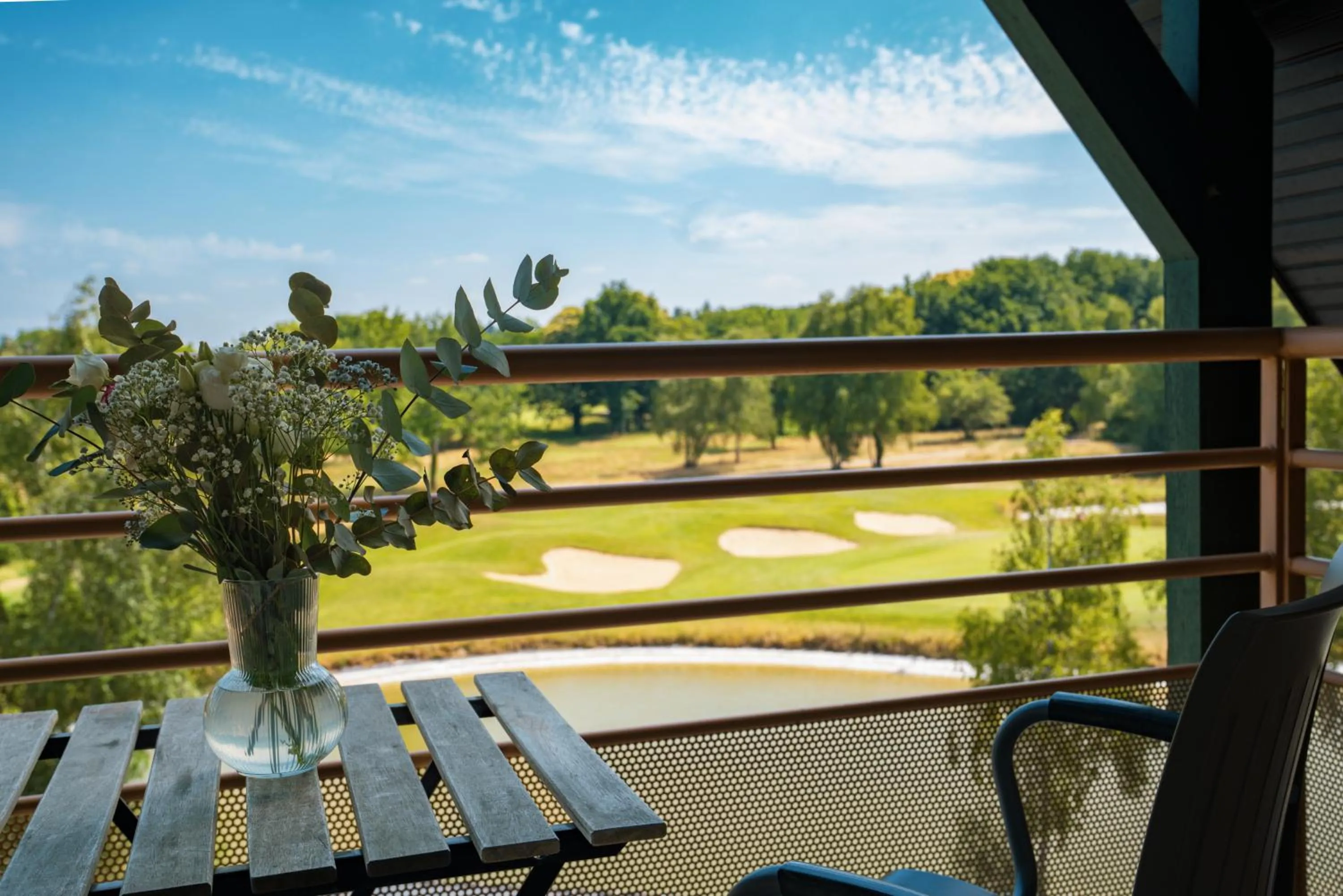 View (from property/room) in Mercure Orléans Portes de Sologne