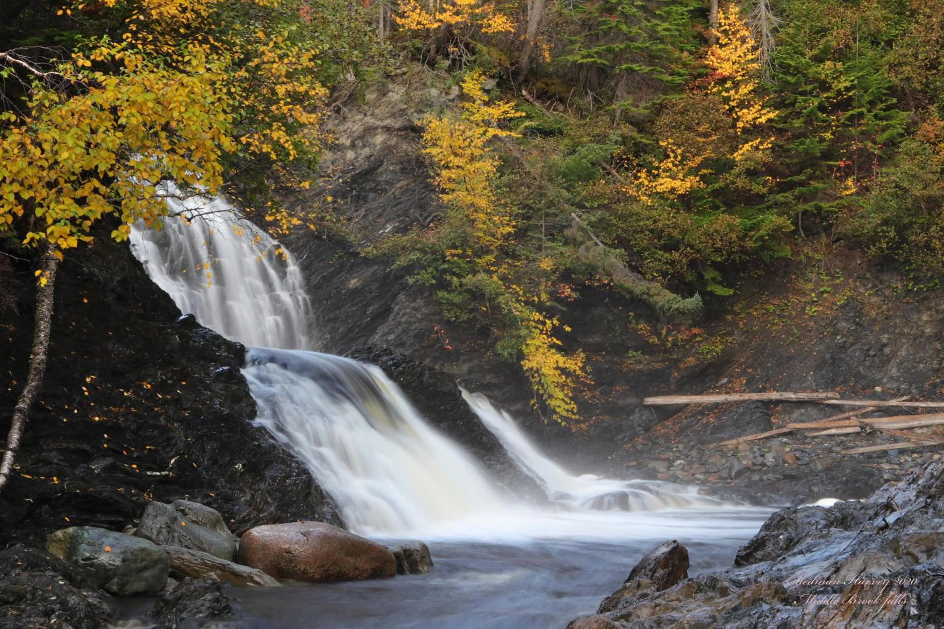 Natural landscape in Middle Brook Cottages & Chalets