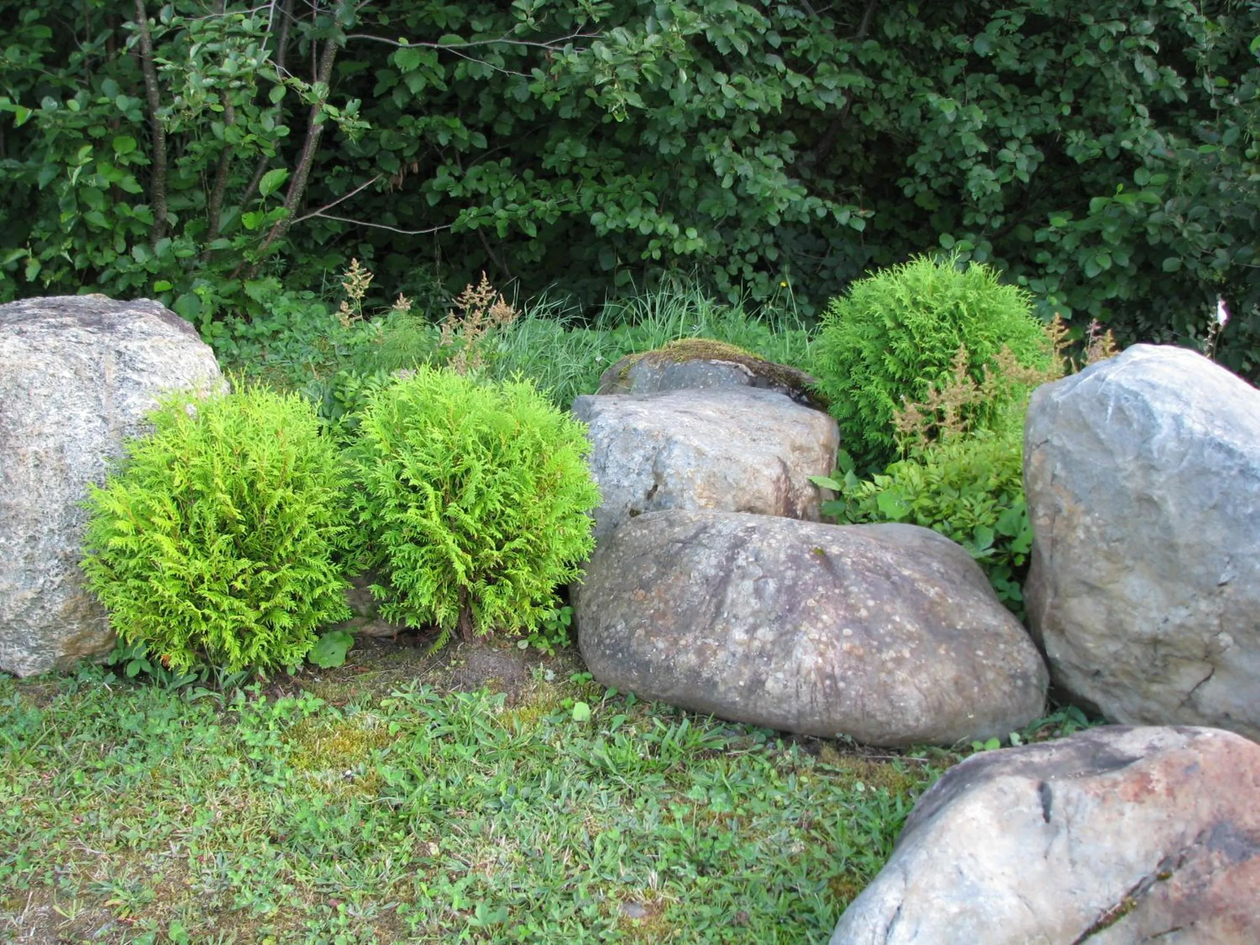 Natural landscape in Middle Brook Cottages & Chalets
