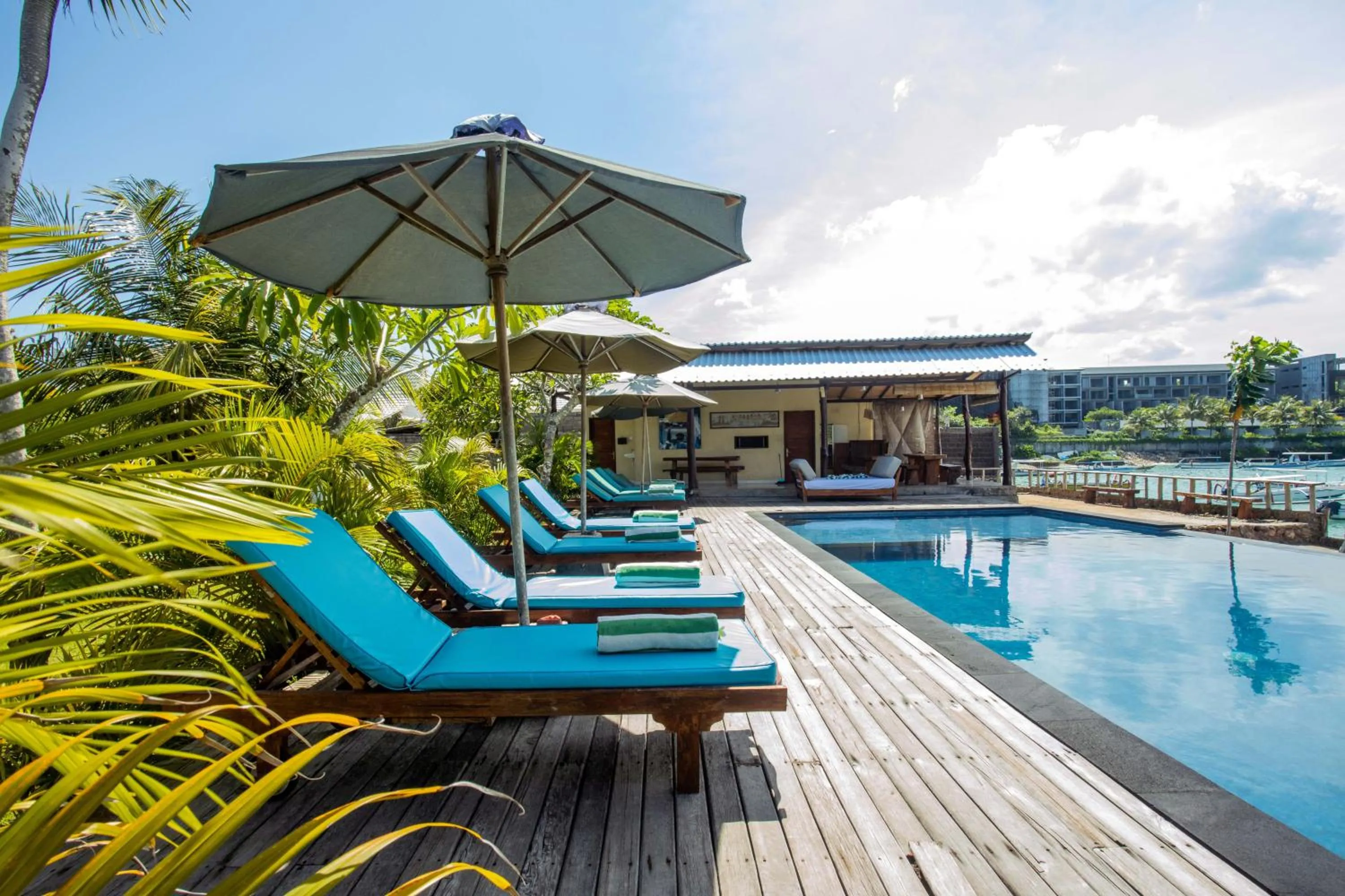 Swimming pool in D'Muncuk Huts Lembongan