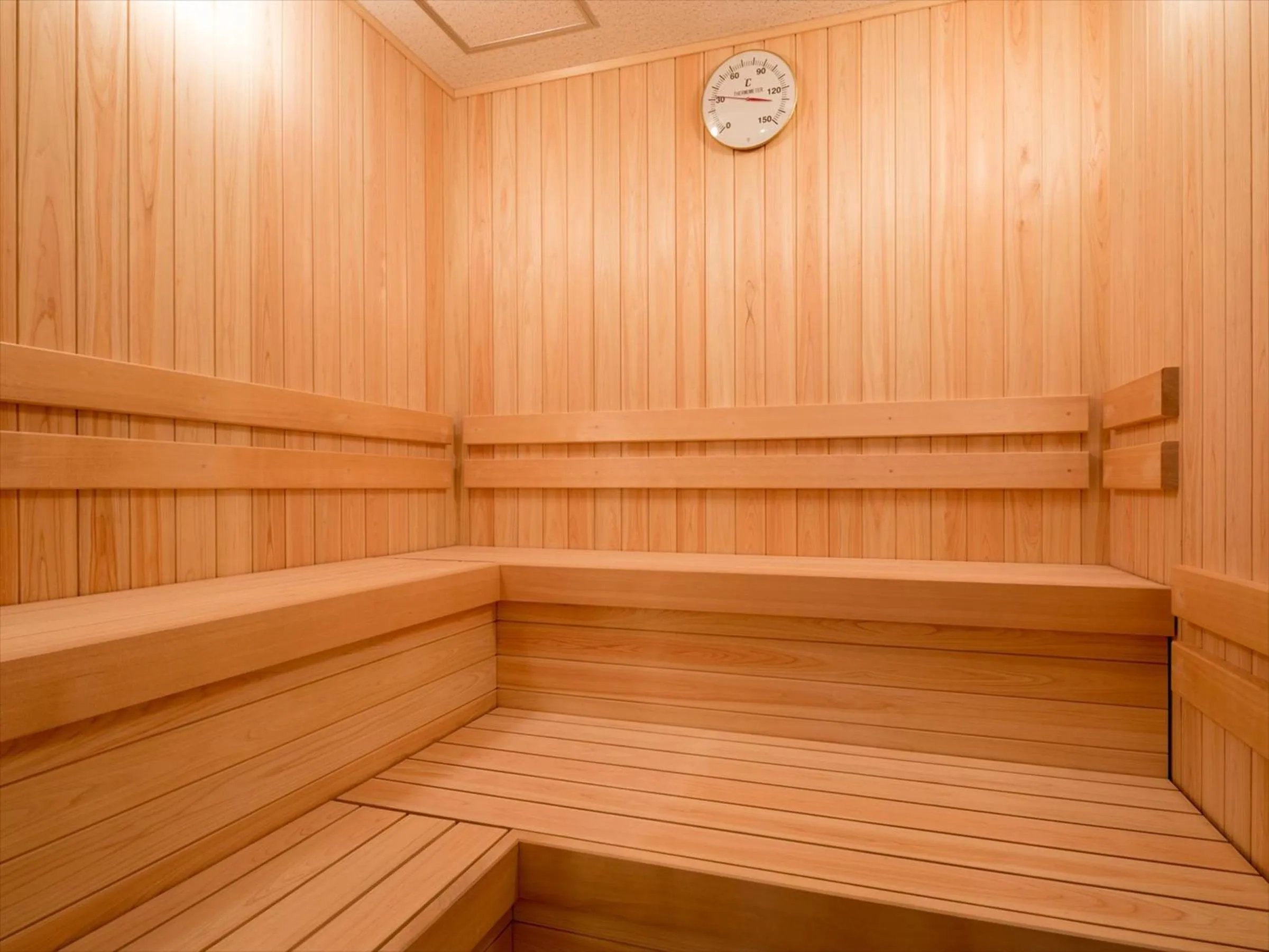 Sauna in Green Rich Hotel Tottori Ekimae (Artificial hot spring Futamata Yunohana)