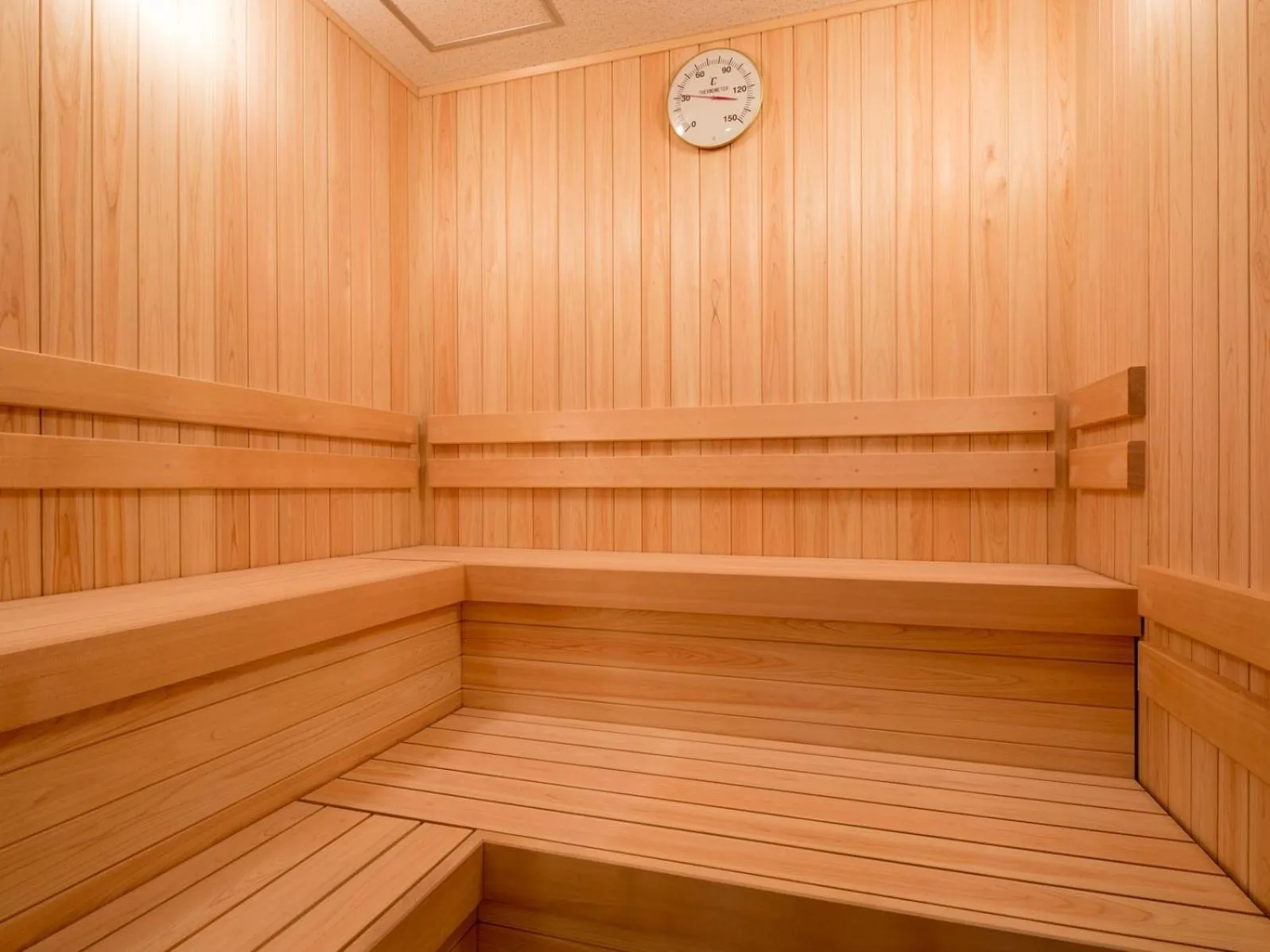 Green Rich Hotel Tottori Ekimae (Artificial hot spring Futamata Yunohana)