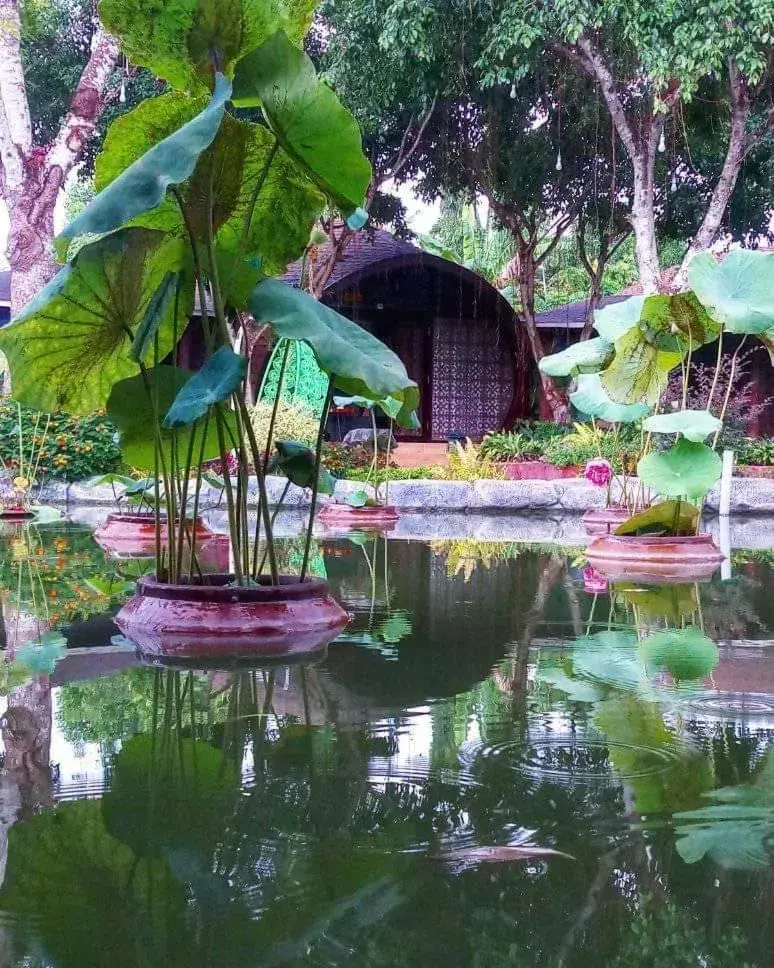 Property building in Con Khuong Resort Can Tho Property building in Con Khuong Resort Can Tho