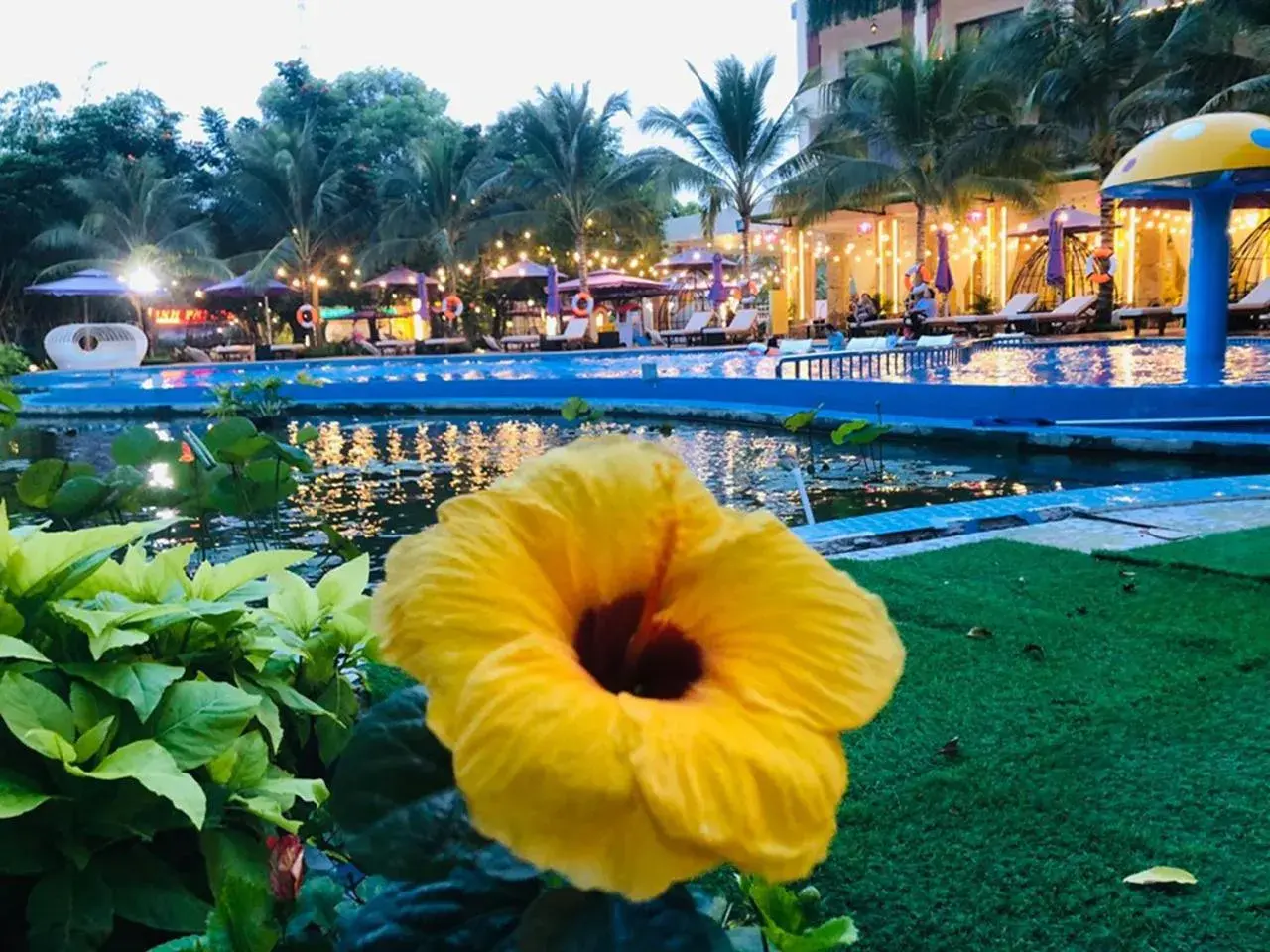 Pool view in Con Khuong Resort Can Tho Pool view in Con Khuong Resort Can Tho