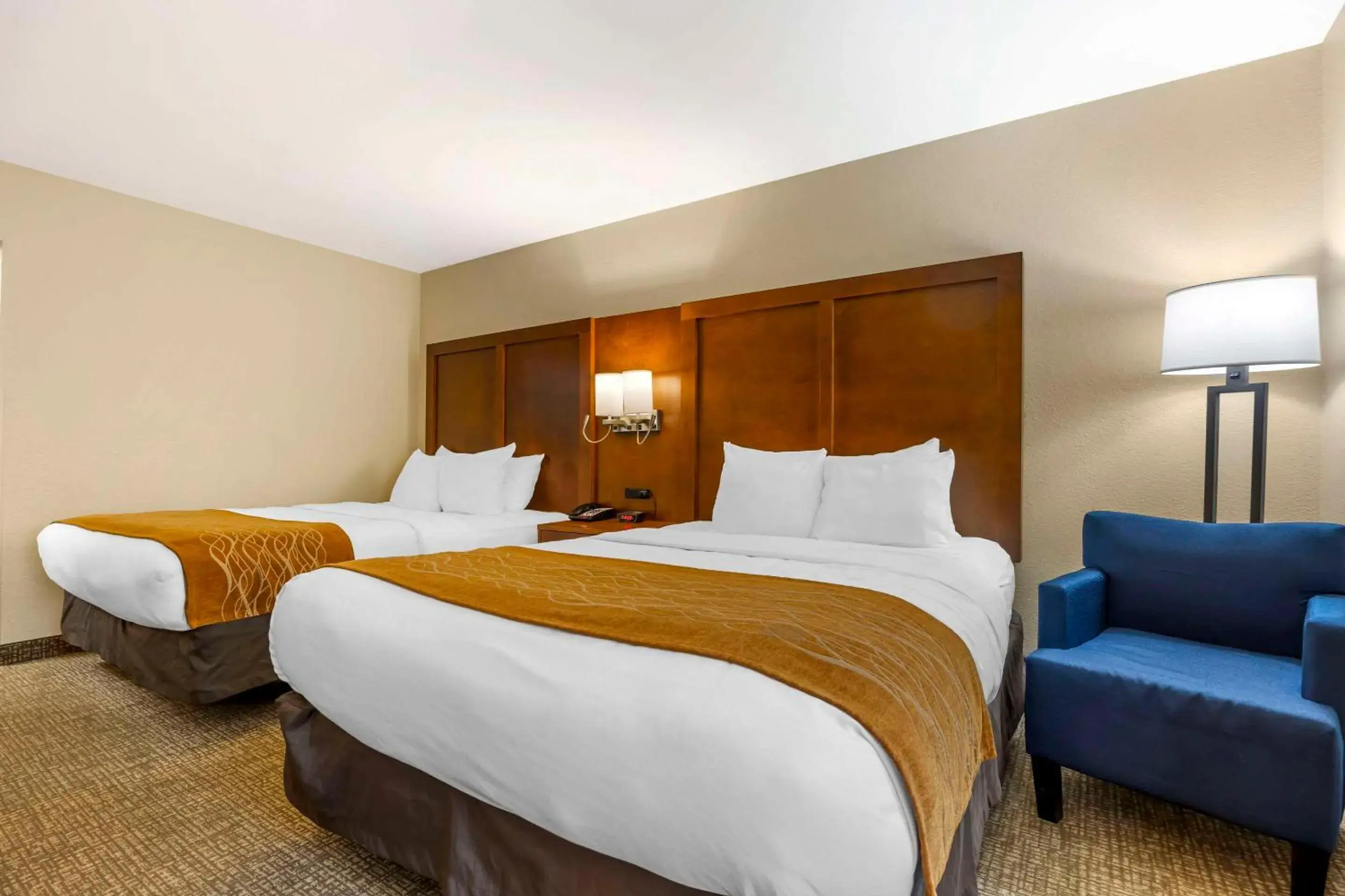 Bedroom, Bed in Comfort Inn South - Springfield Bedroom, Bed in Comfort Inn South - Springfield