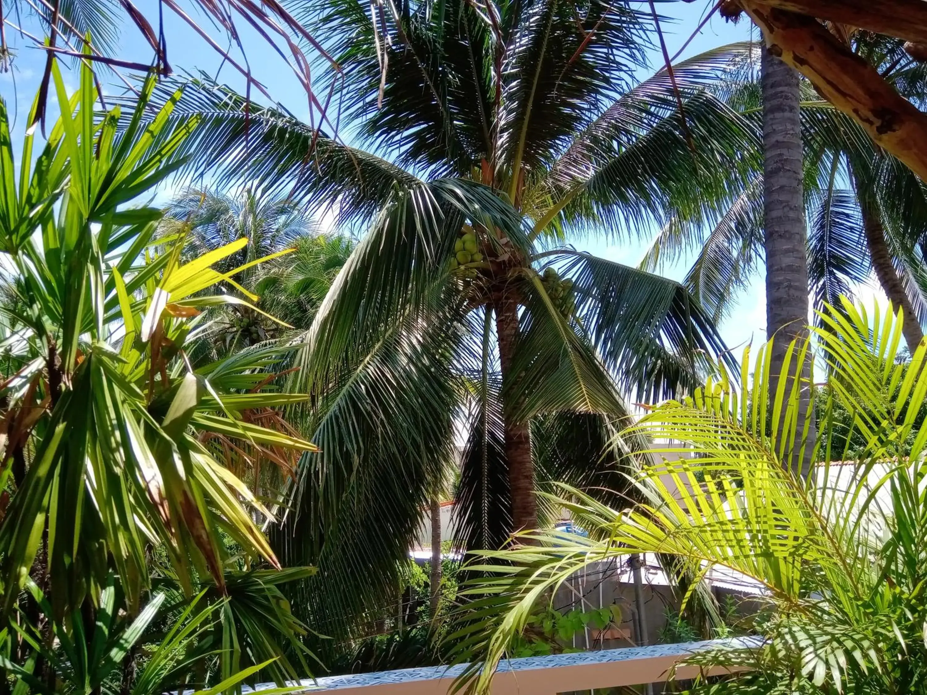 Street view in MiNhon Hotel Muine Street view in MiNhon Hotel Muine