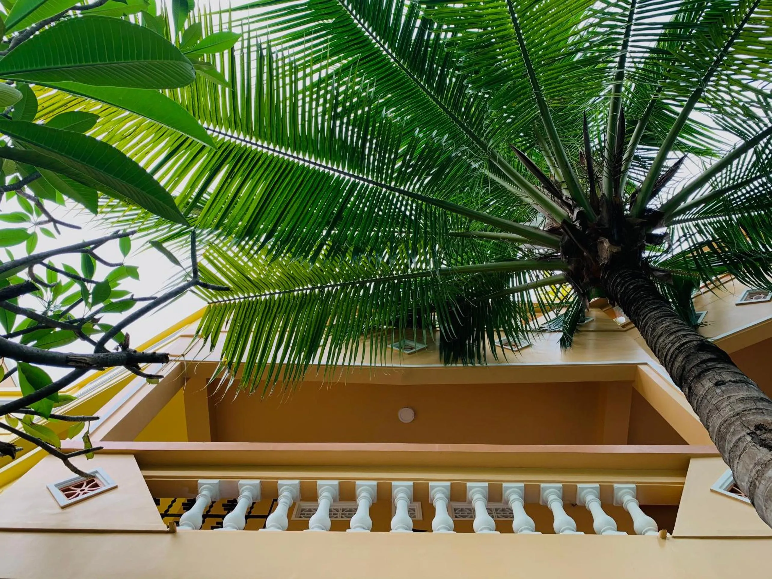 Garden in MiNhon Hotel Muine