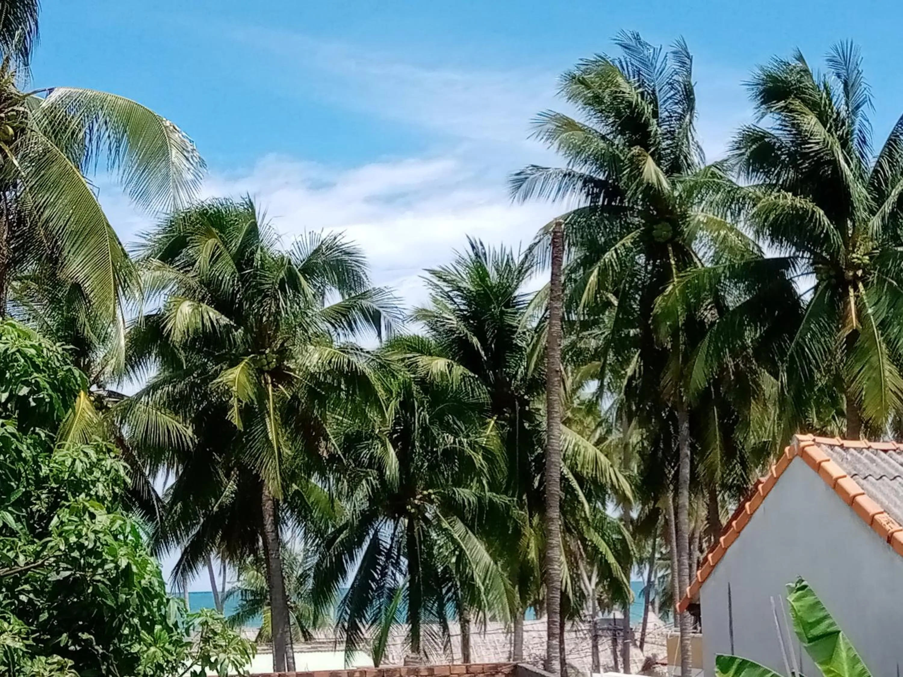 Natural landscape in MiNhon Hotel Muine