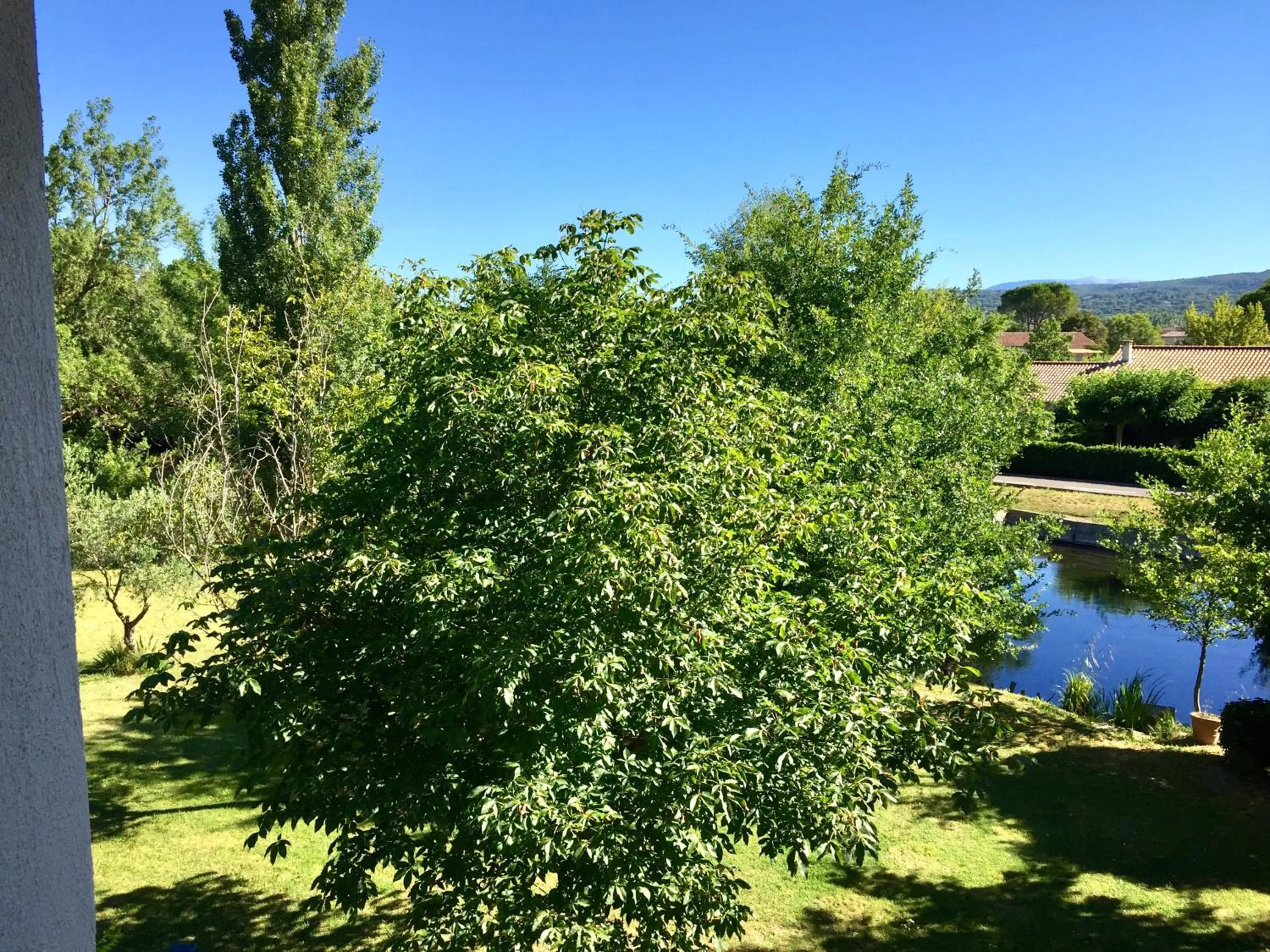 Garden view in Mas Le Pont des Aubes