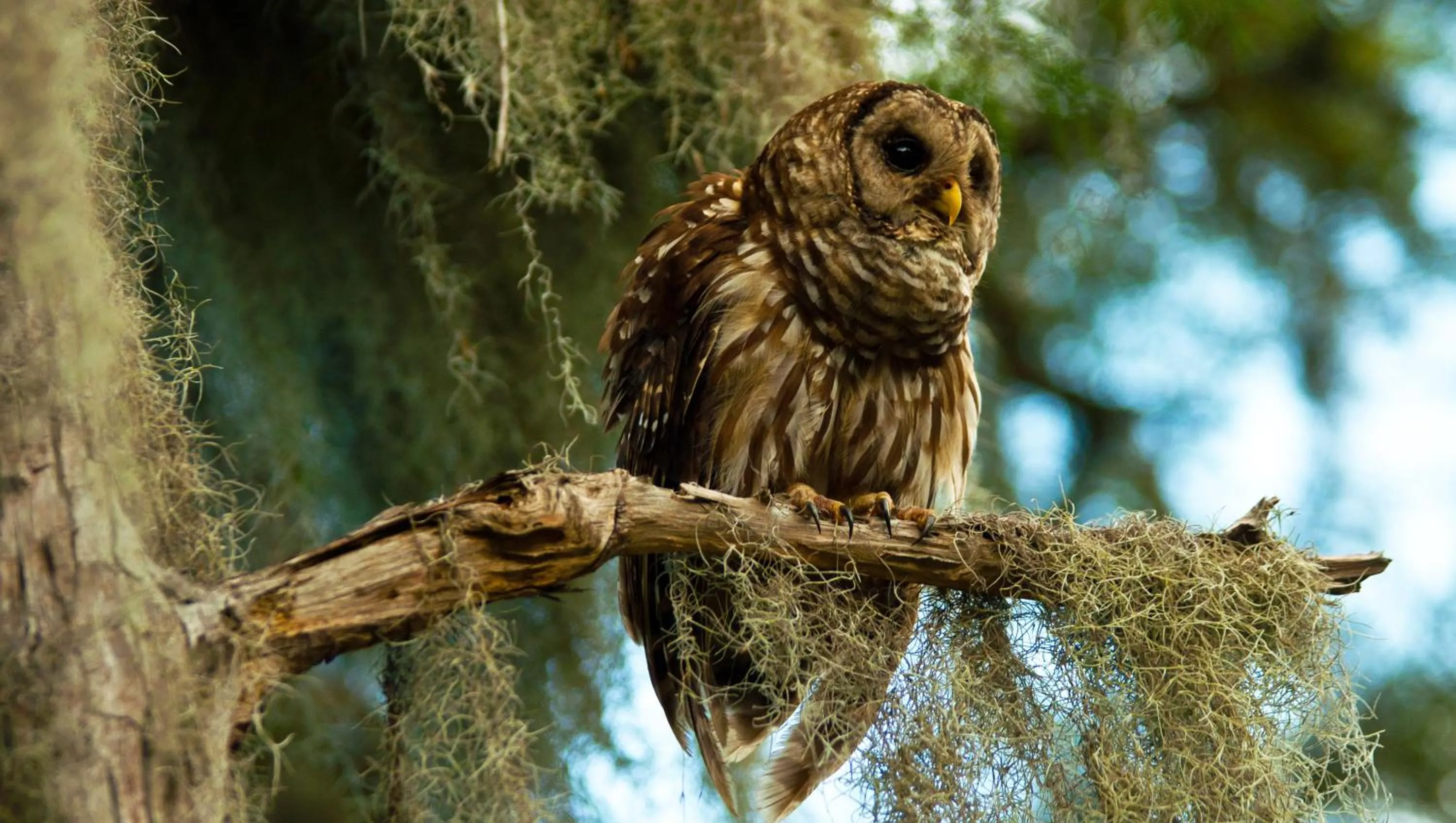 Nearby landmark in Mayfair Inn