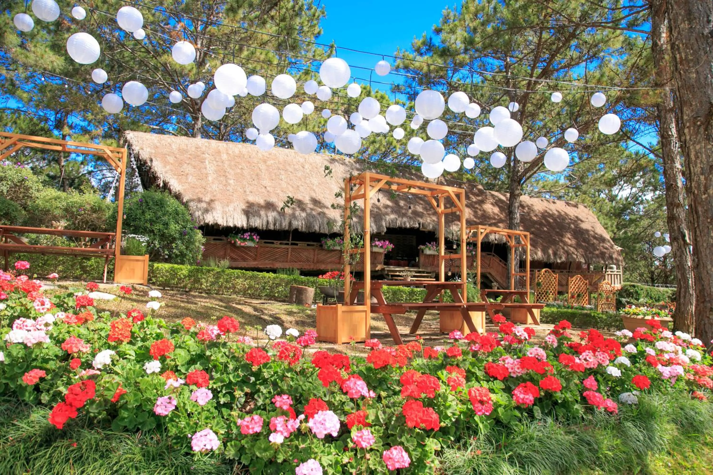 Restaurant/places to eat in TTC Dreamy Hill Resort - Unlimited Access to TTC World - Thung Lung Tinh Yeu