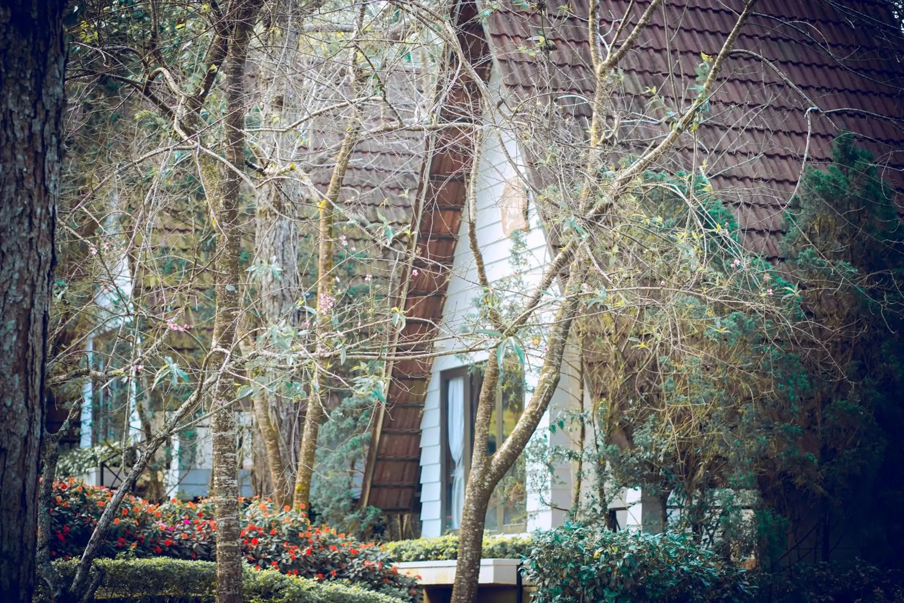 Garden view in TTC Dreamy Hill Resort - Unlimited Access to TTC World - Thung Lung Tinh Yeu Garden view in TTC Dreamy Hill Resort - Unlimited Access to TTC World - Thung Lung Tinh Yeu