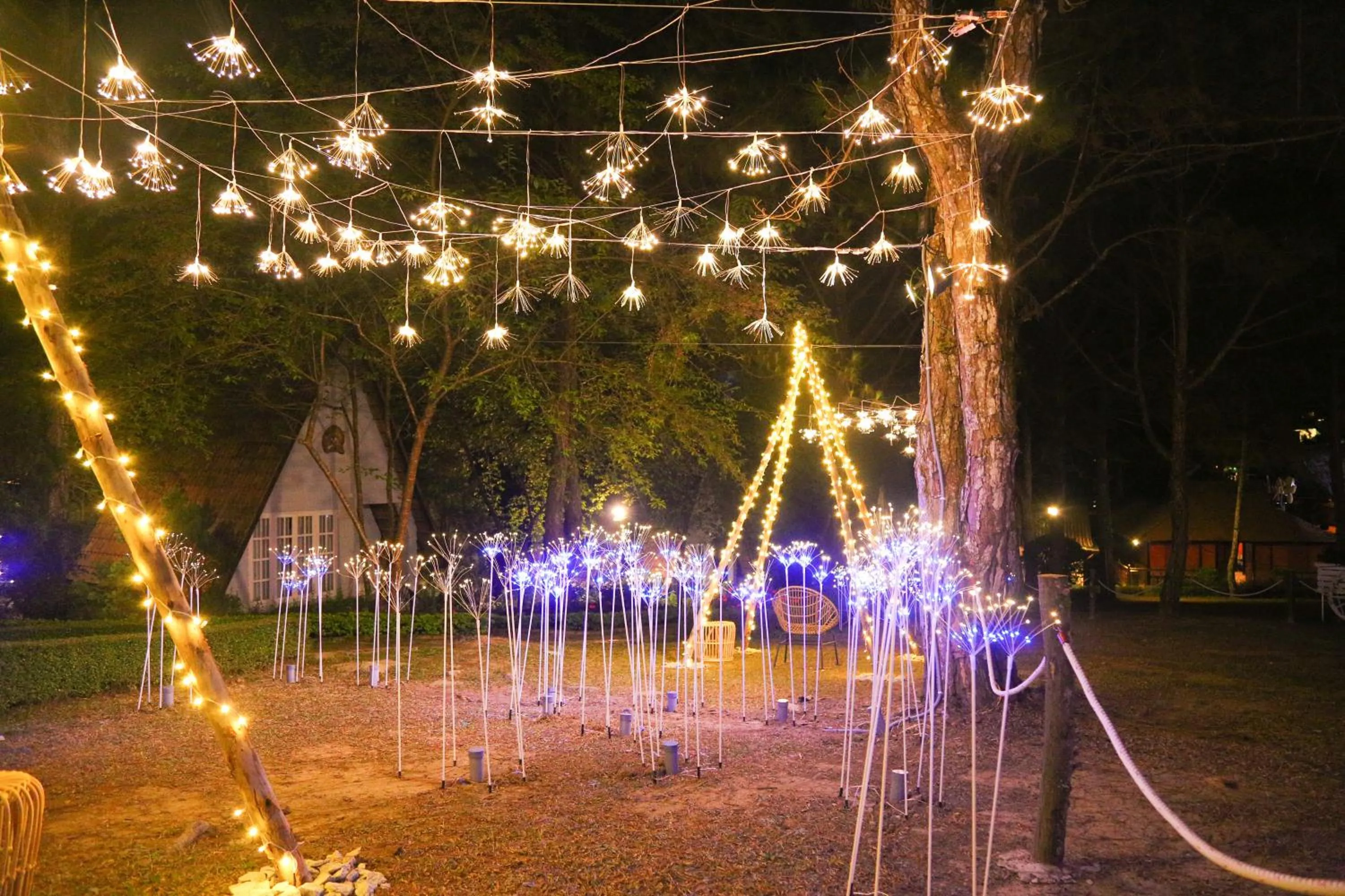 Garden in TTC Dreamy Hill Resort - Unlimited Access to TTC World - Thung Lung Tinh Yeu