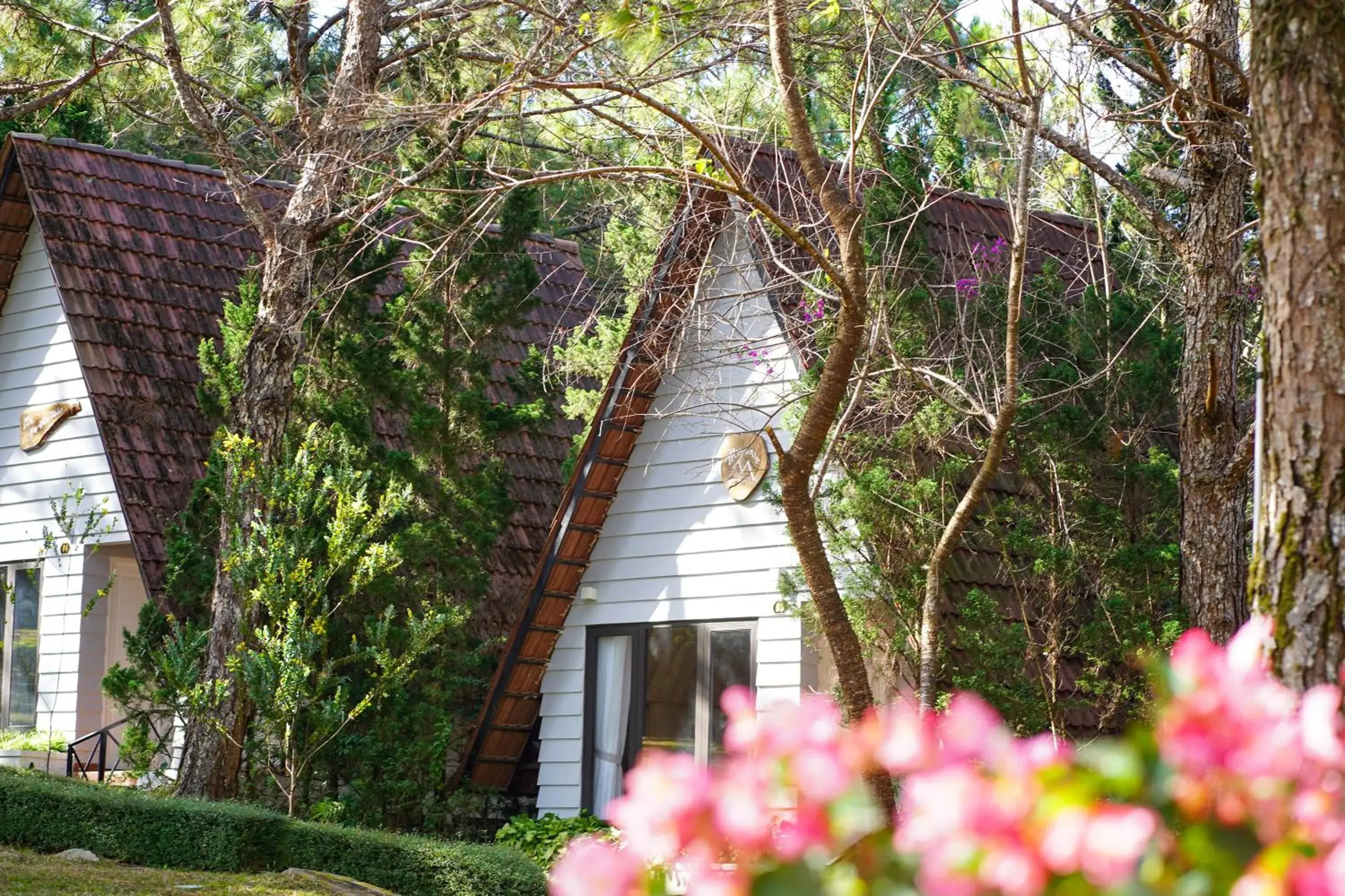 Bungalow Valley View Queen Bed in TTC Dreamy Hill Resort - Unlimited Access to TTC World - Thung Lung Tinh Yeu Bungalow Valley View Queen Bed in TTC Dreamy Hill Resort - Unlimited Access to TTC World - Thung Lung Tinh Yeu