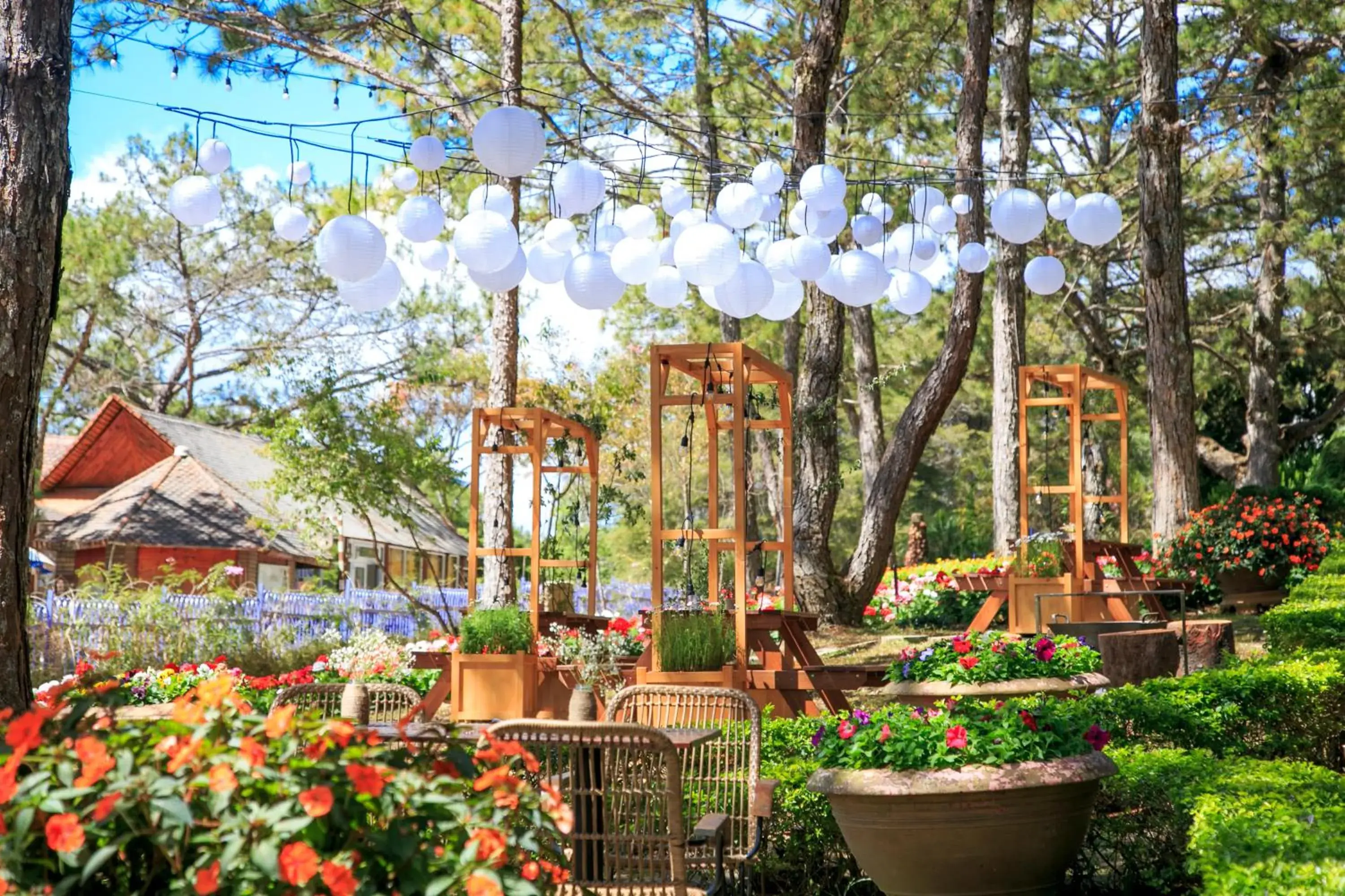 Restaurant/places to eat in TTC Dreamy Hill Resort - Unlimited Access to TTC World - Thung Lung Tinh Yeu Restaurant/places to eat in TTC Dreamy Hill Resort - Unlimited Access to TTC World - Thung Lung Tinh Yeu