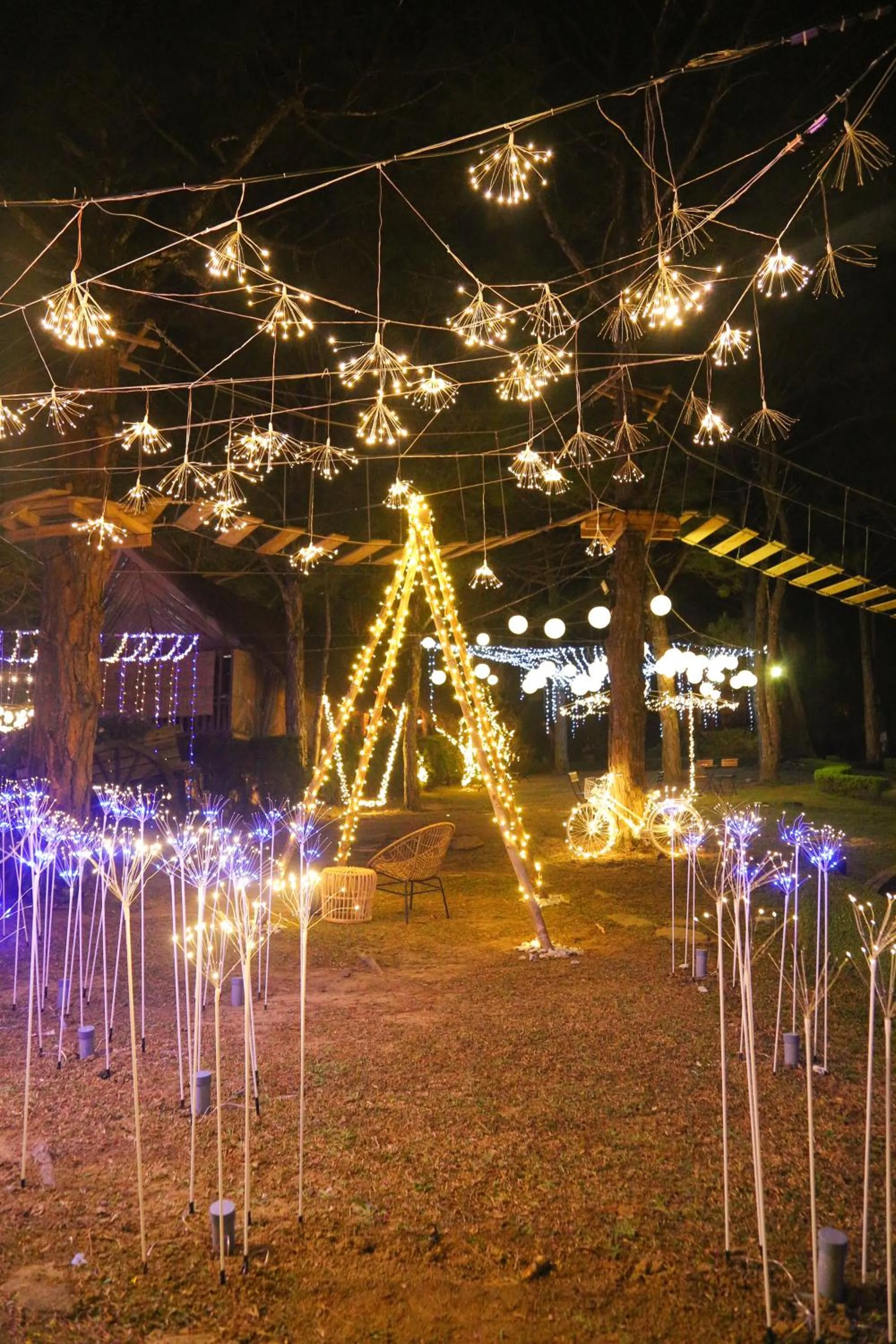 Other in TTC Dreamy Hill Resort - Unlimited Access to TTC World - Thung Lung Tinh Yeu