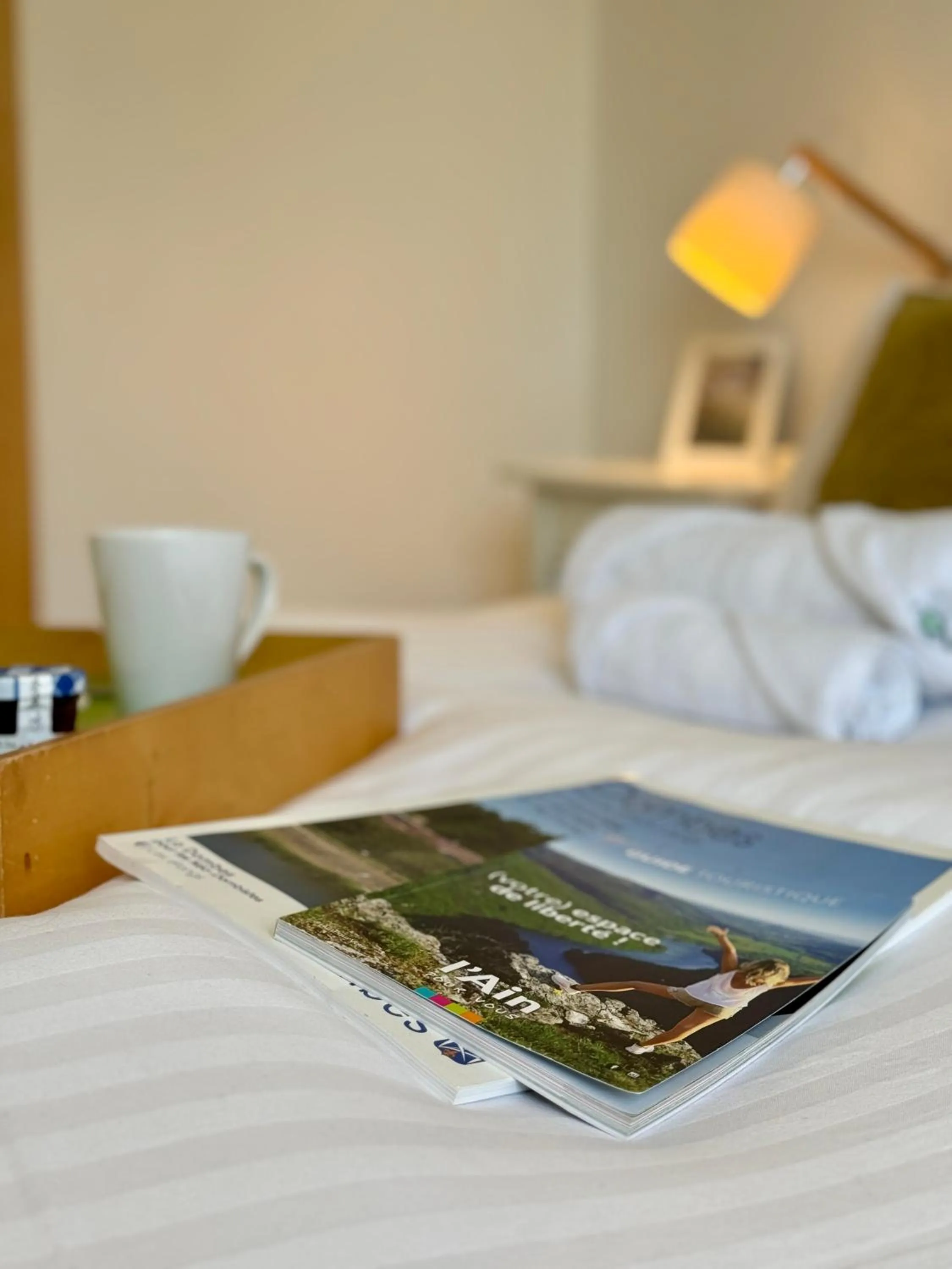 Bed in Chambres d'hôtes Grange Debout