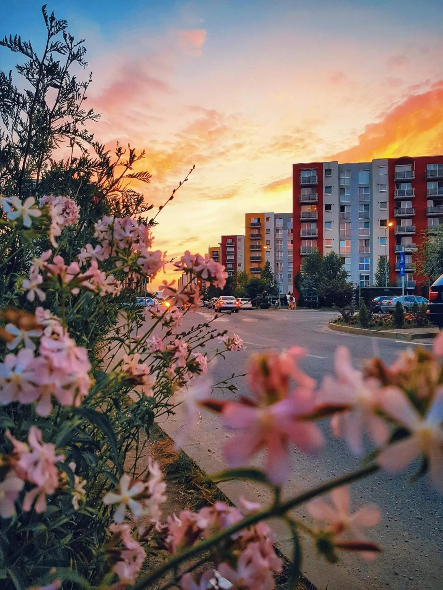 Spring in Brasov Altipiani Apartments