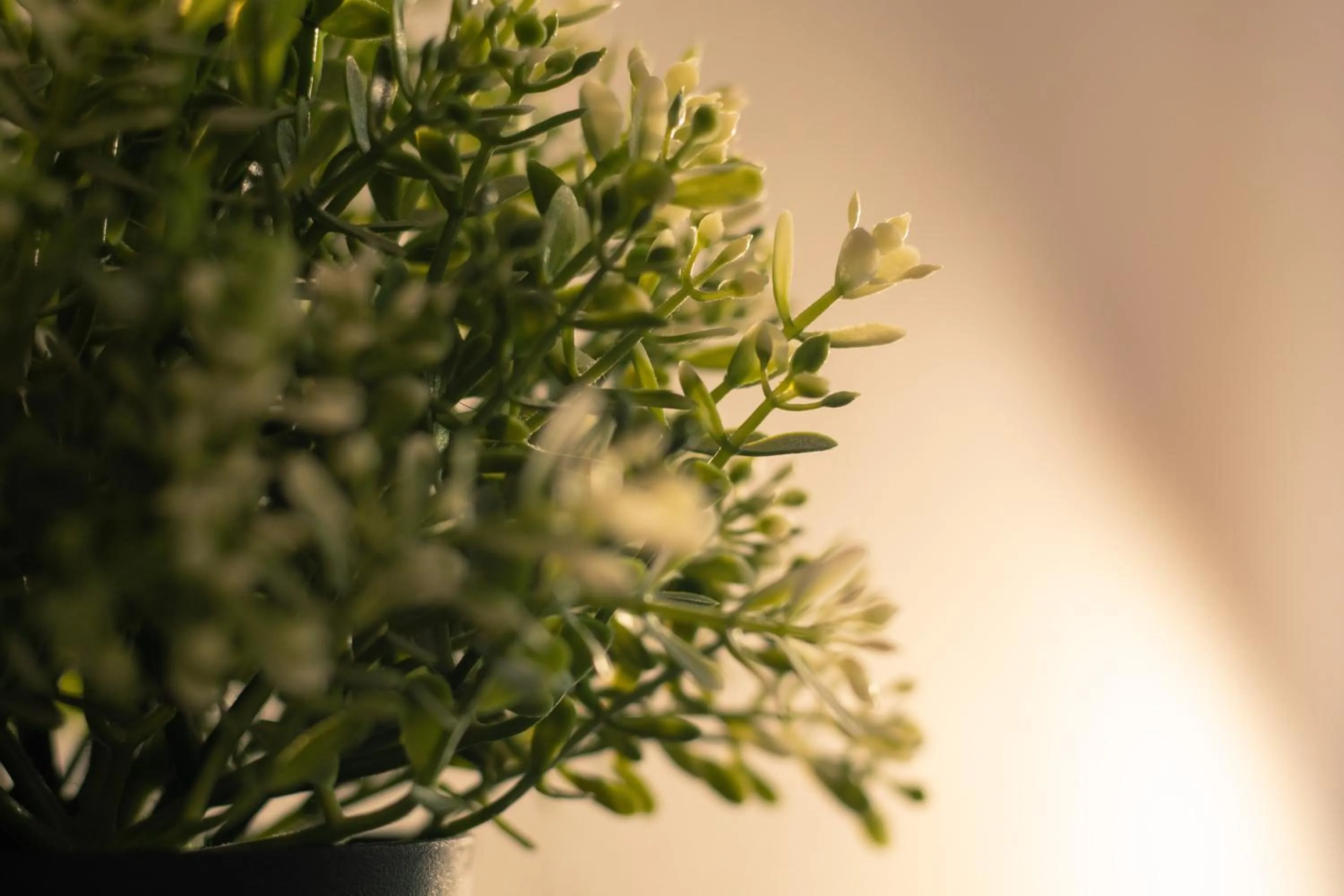 Le President-Gare Nimes Pont Du Gard