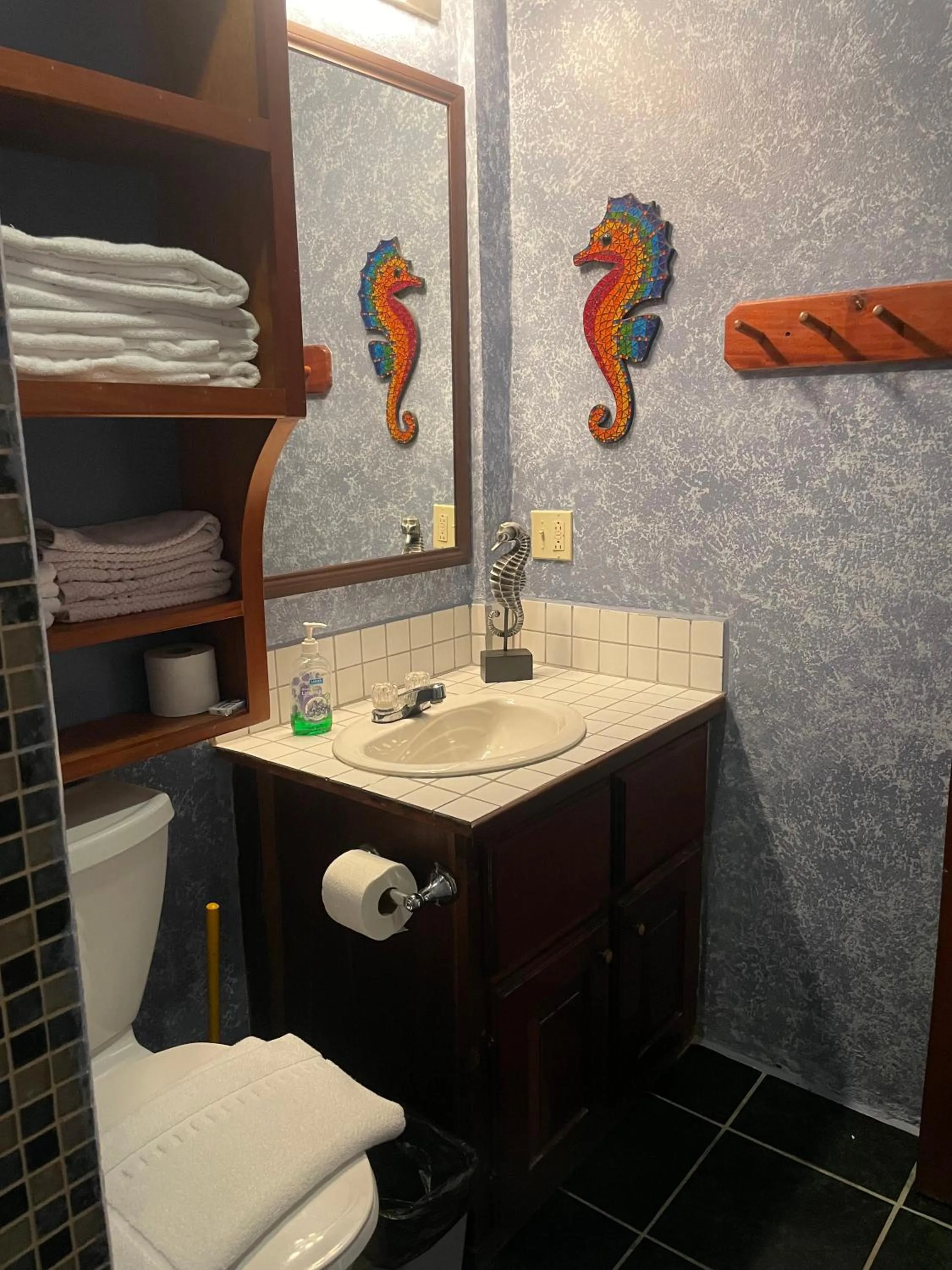 Toilet in Belize Budget Suites