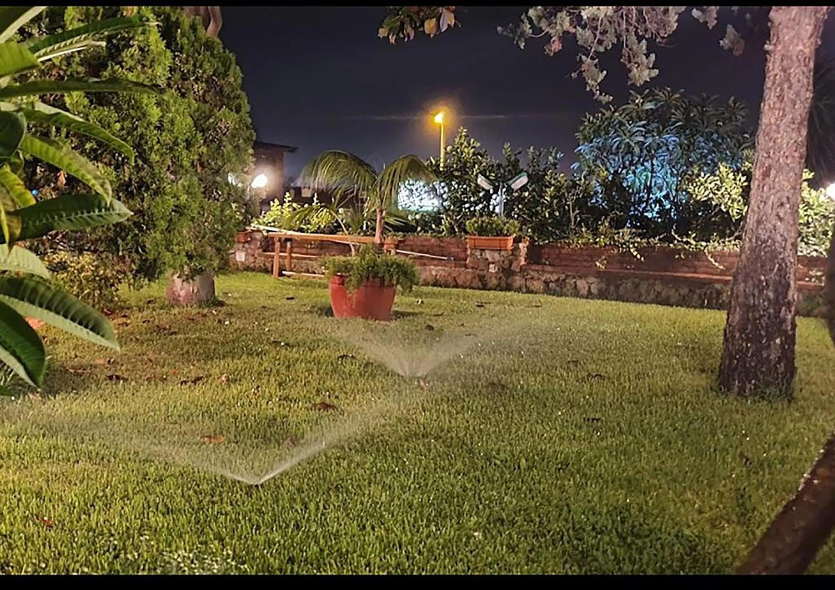 Garden in Small Paradise Palermo