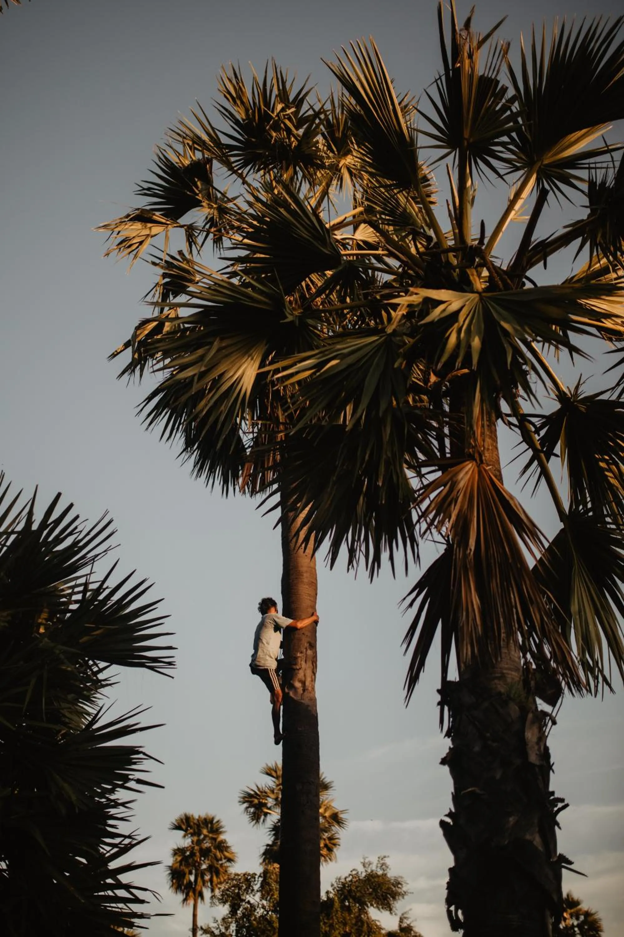 Beach in Kalyssa Beach Bungalows