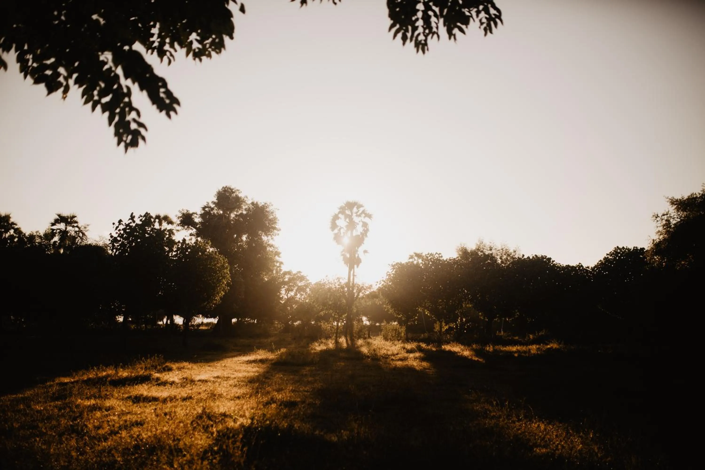Natural landscape in Kalyssa Beach Bungalows