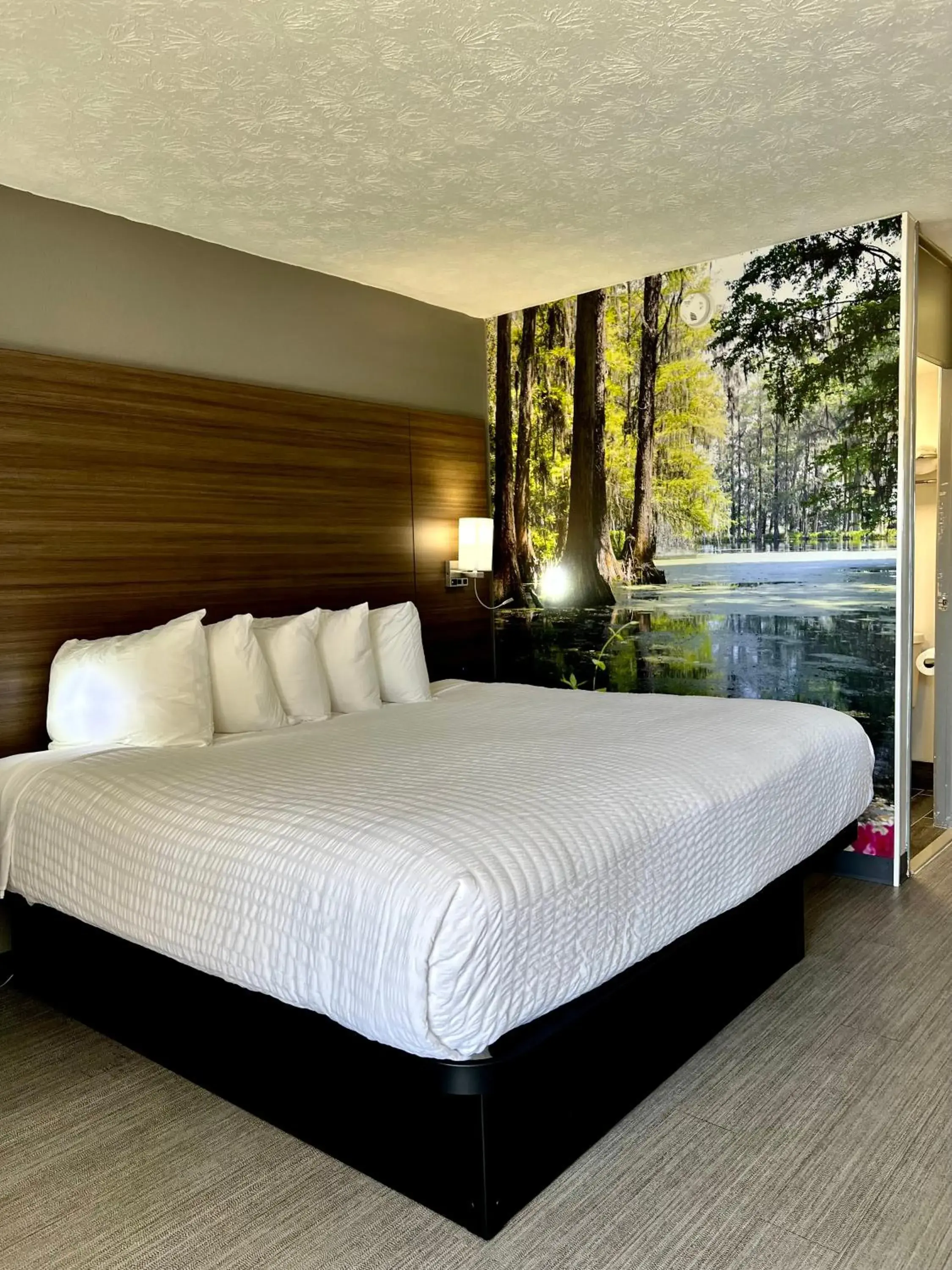 Bed in Clarion Pointe Morrow - Atlanta South Bed in Clarion Pointe Morrow - Atlanta South