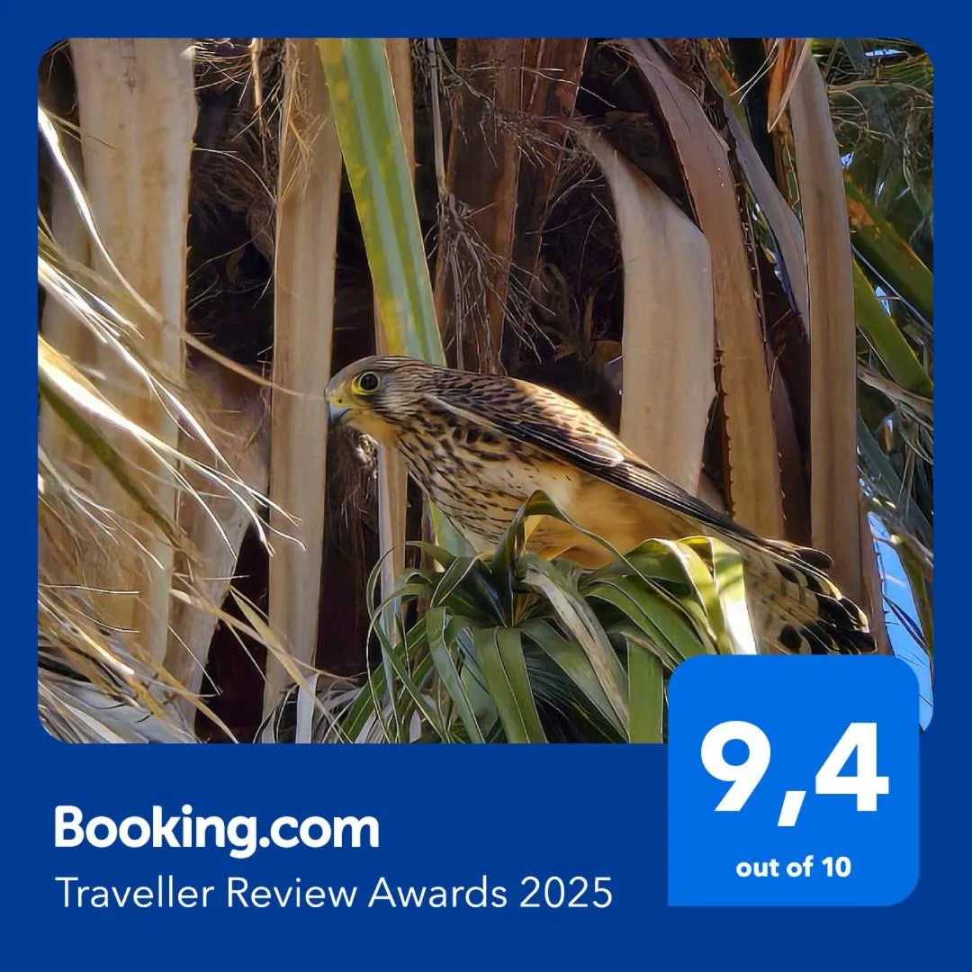 Spring in Alghero in bicicletta