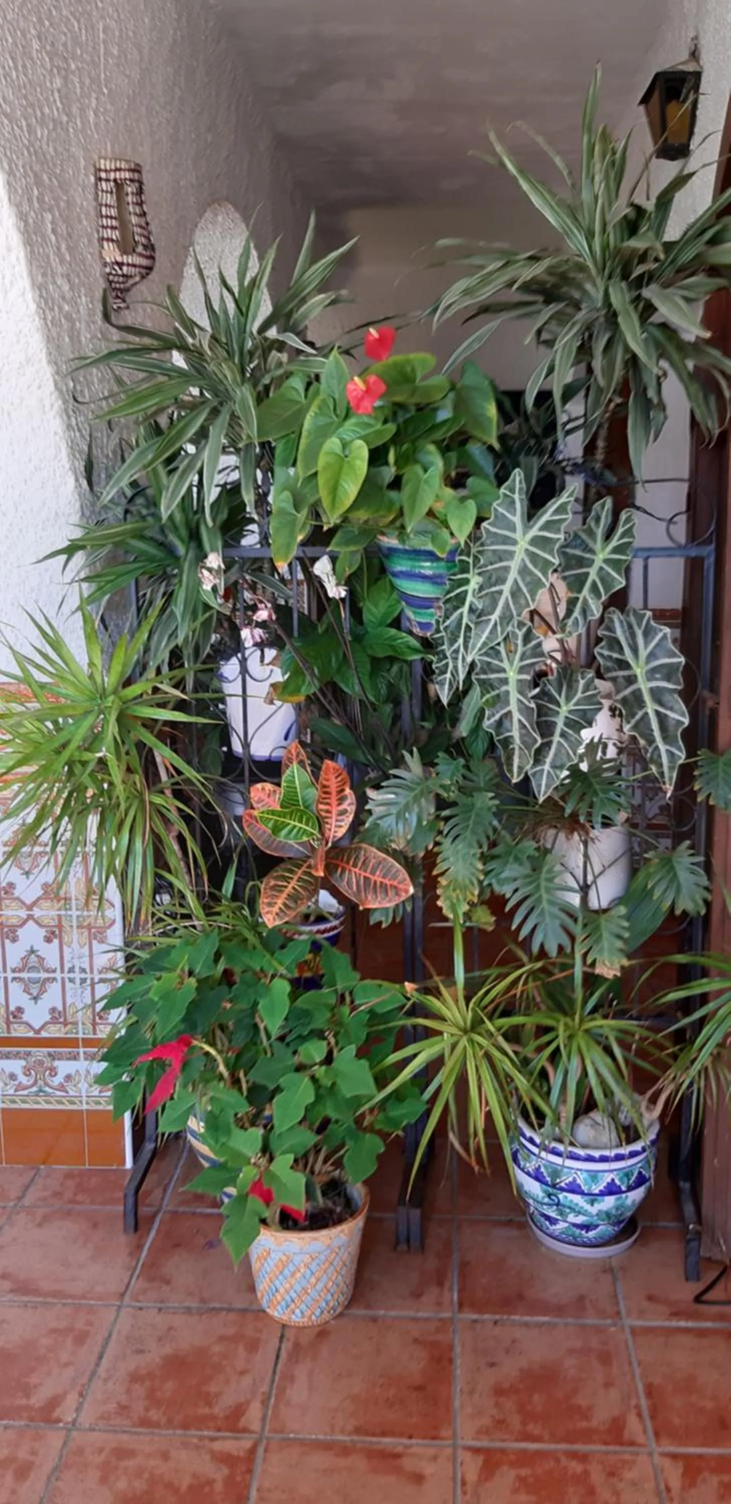 Restaurant/places to eat in Family Agua Amarga