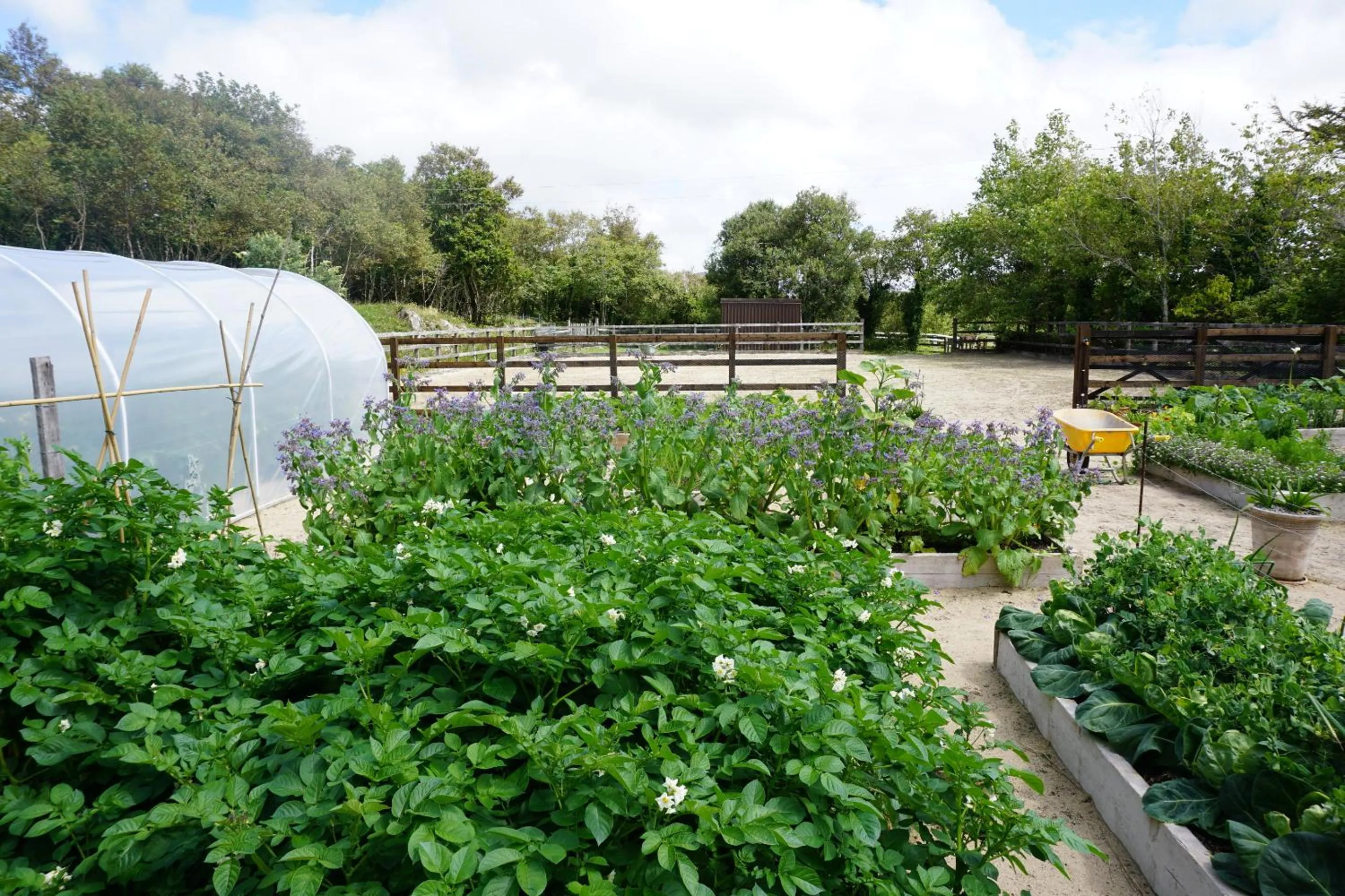 Property building in Fernwood