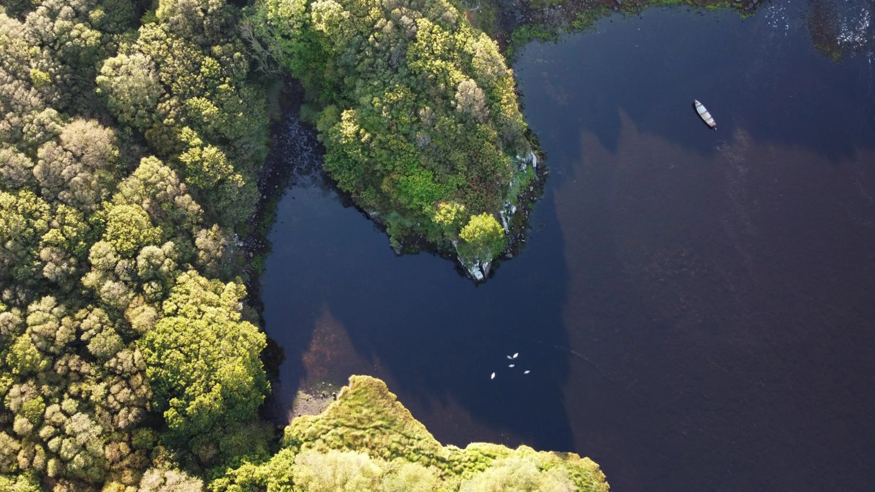 Property building in Fernwood