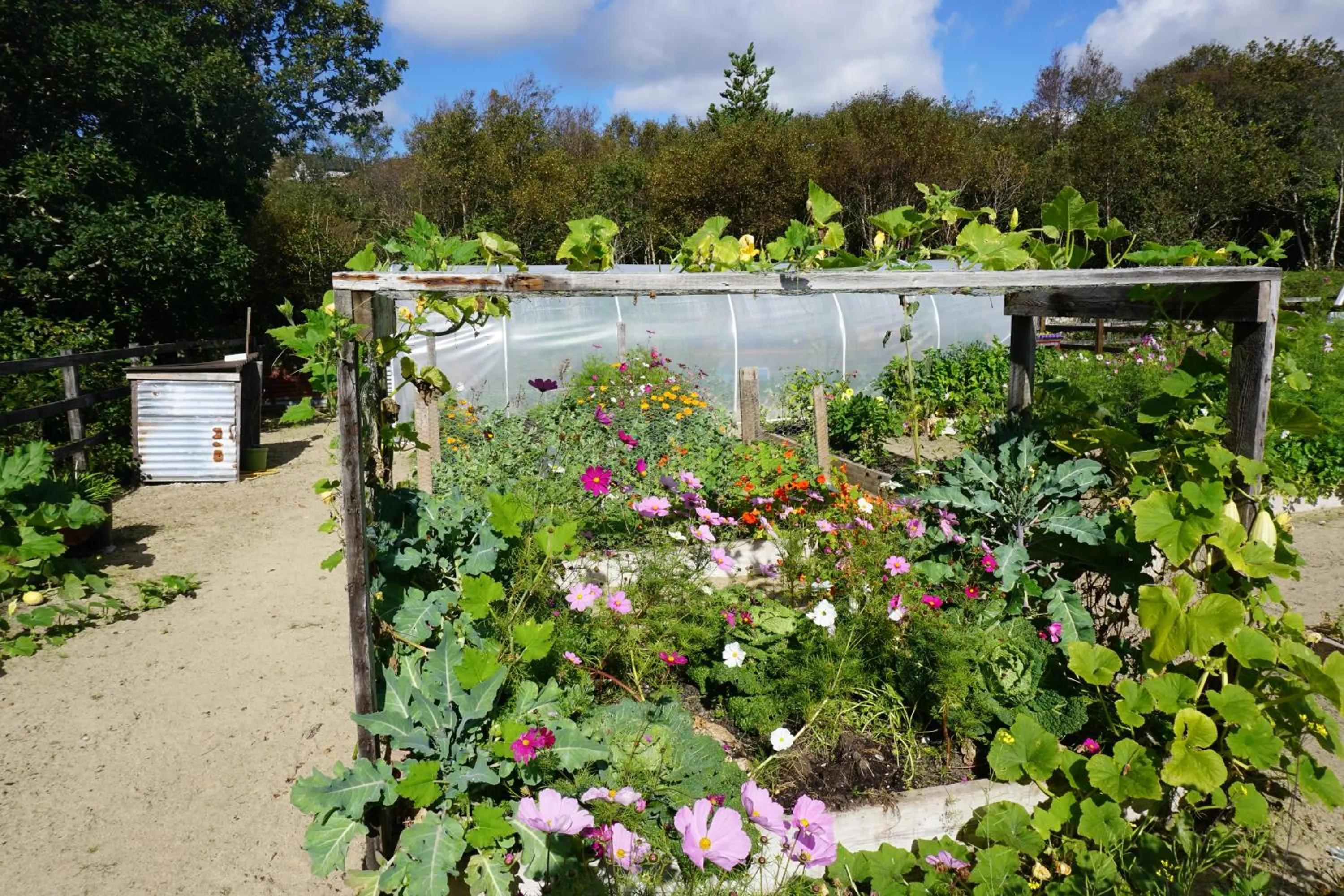 Property building in Fernwood