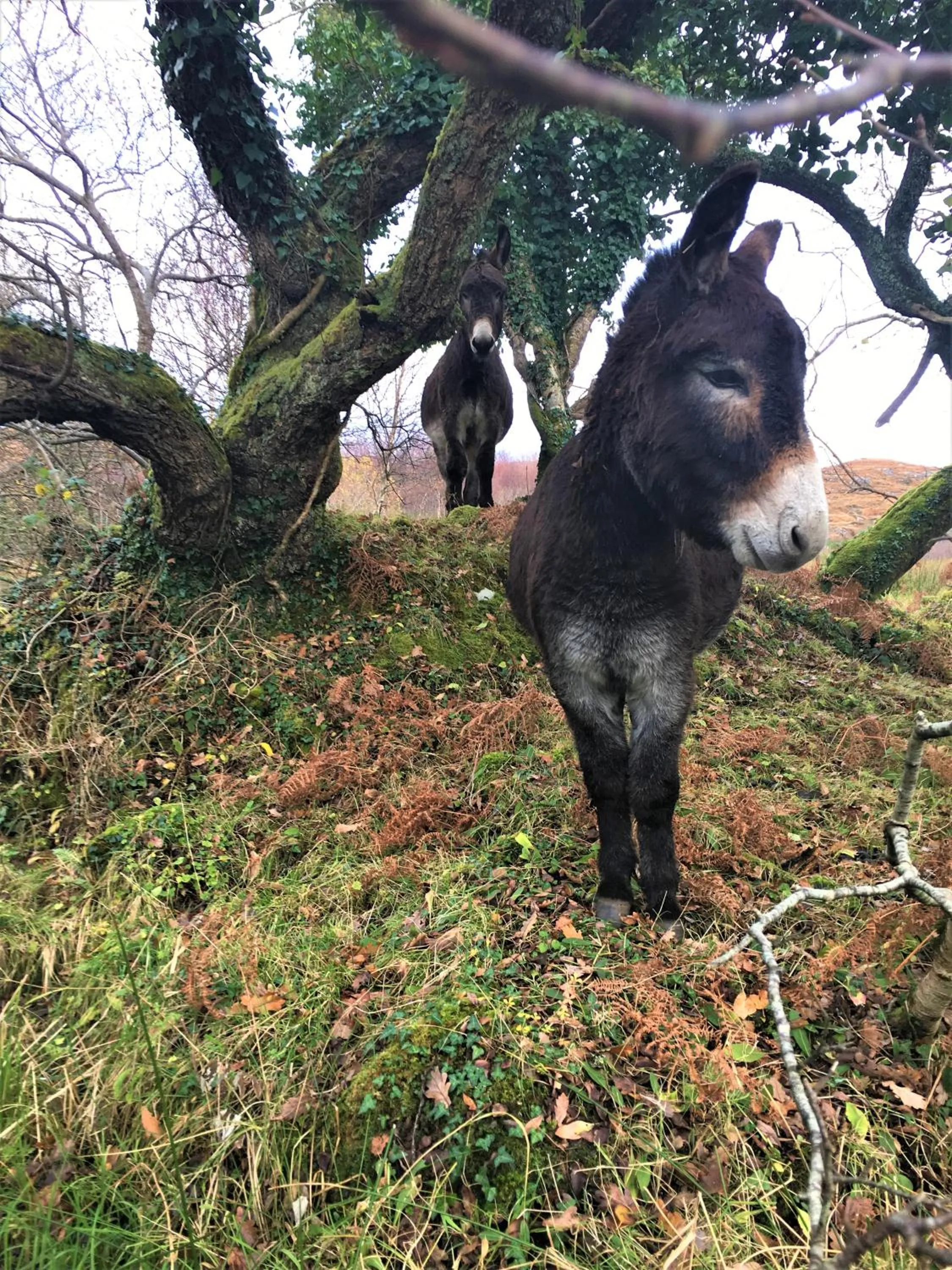 Activities in Fernwood