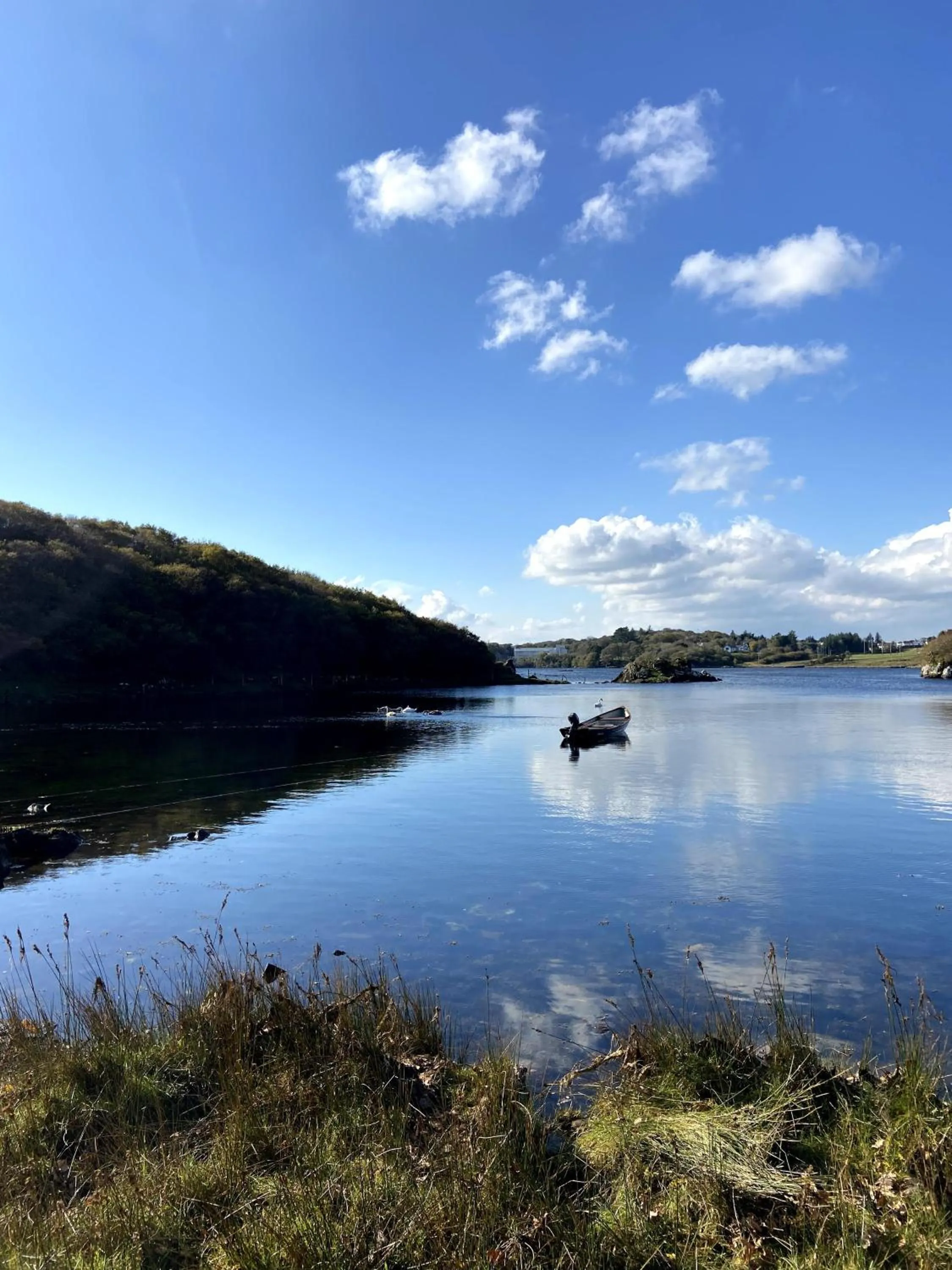 Property building in Fernwood