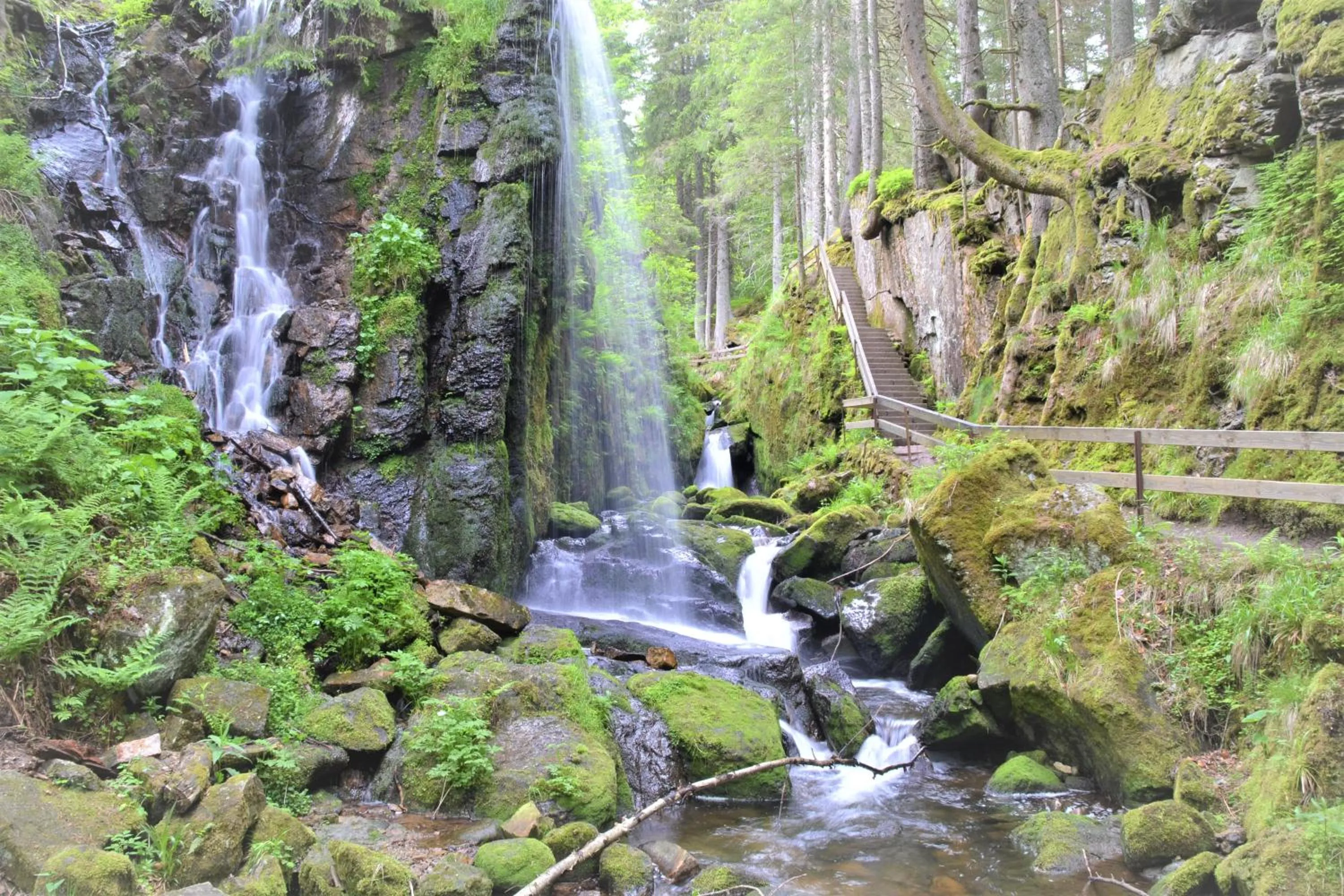 Natural landscape in Hotel Großbach