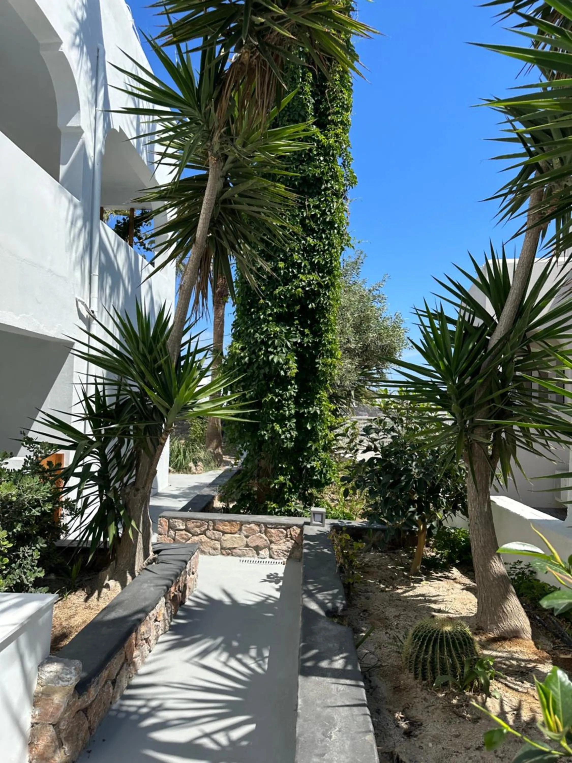 Garden view in Dragonfly Villas