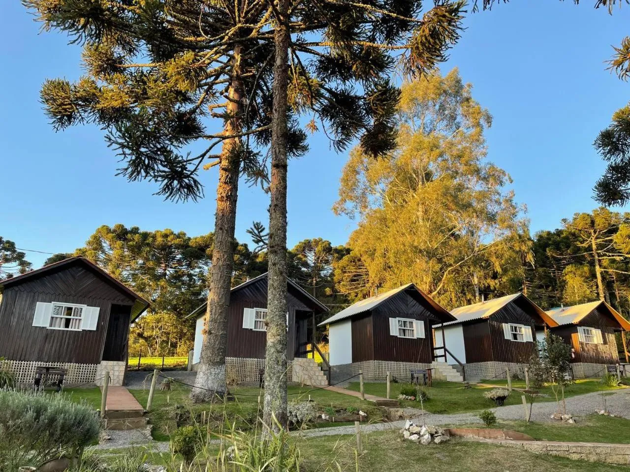 Garden in Pousada Cardoso