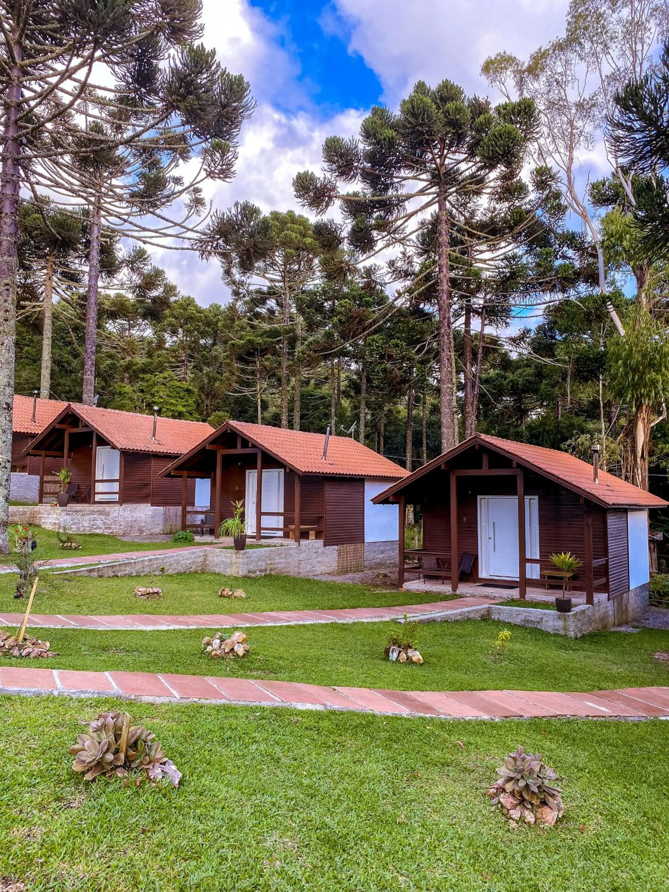 Garden in Pousada Cardoso