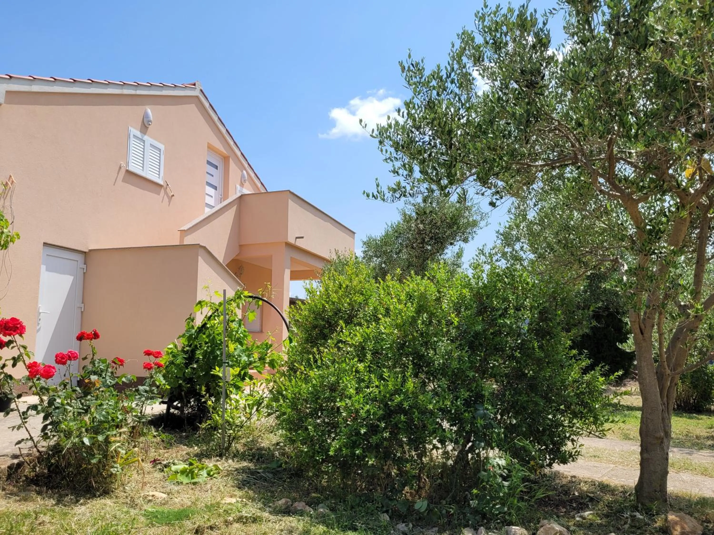 Property building in Apartmani FILTEA