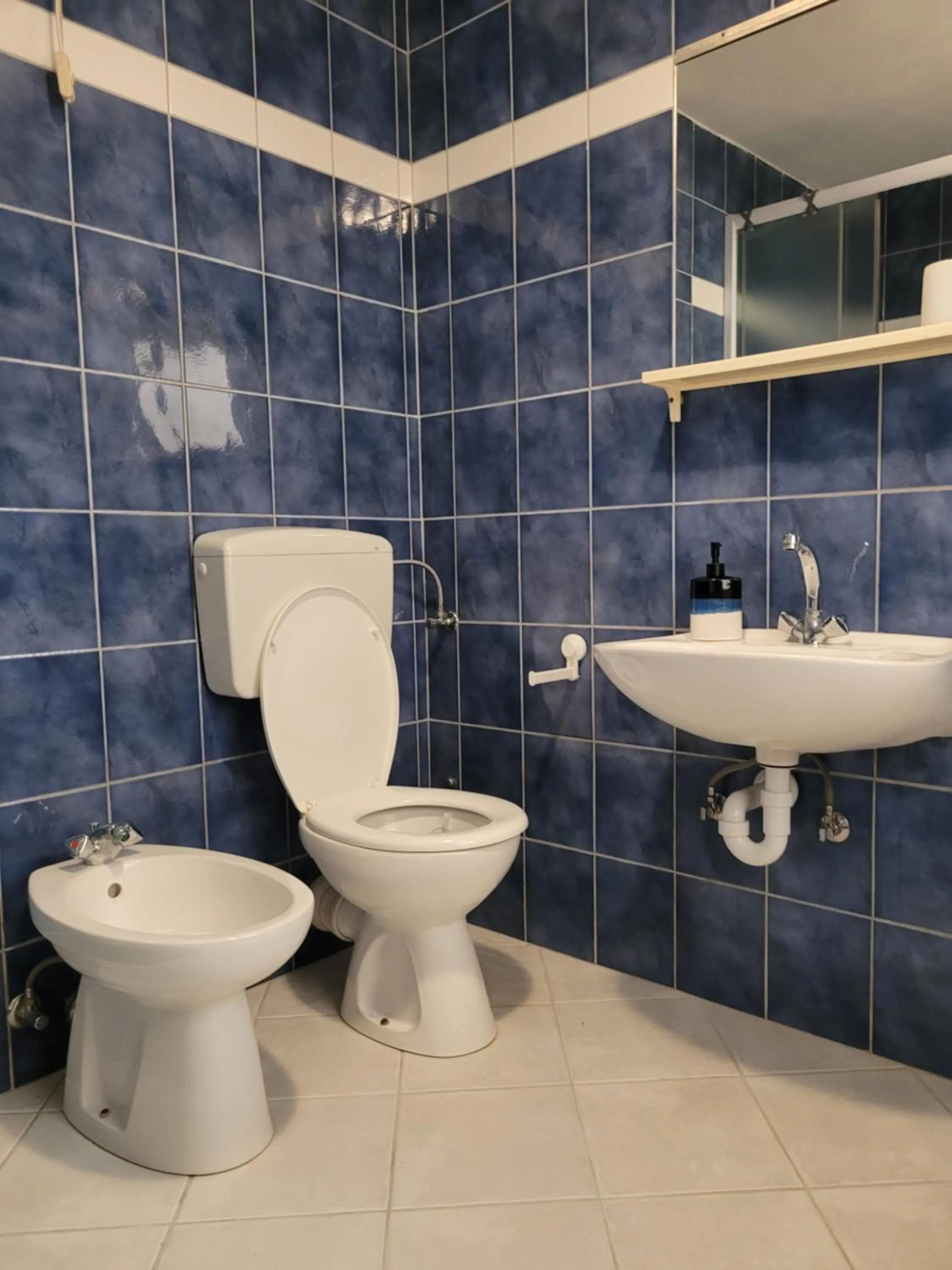 Toilet in Apartmani FILTEA