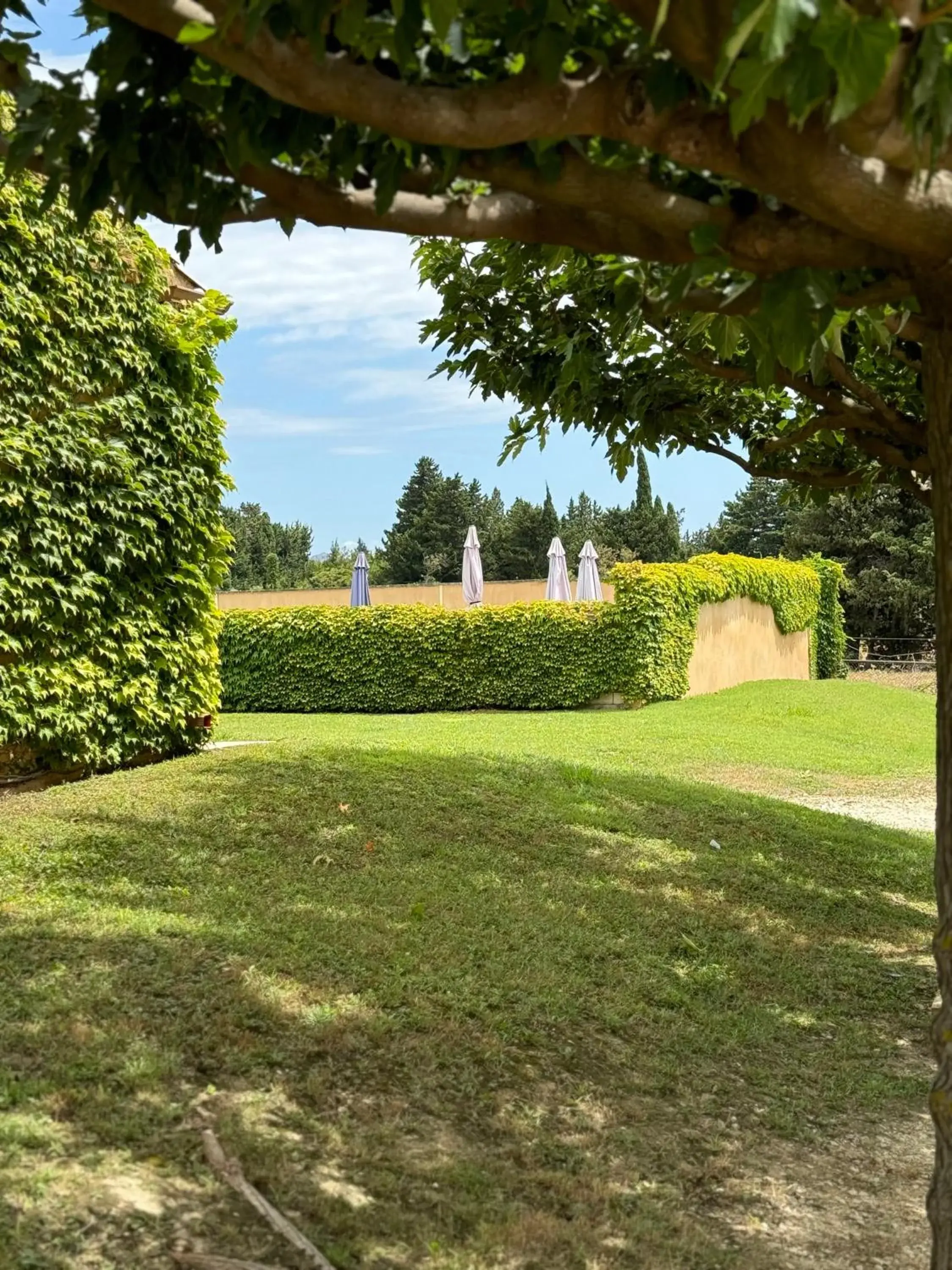 Landmark view in Hotel Terriciaë aux portes de Maussane les Alpilles Landmark view in Hotel Terriciaë aux portes de Maussane les Alpilles